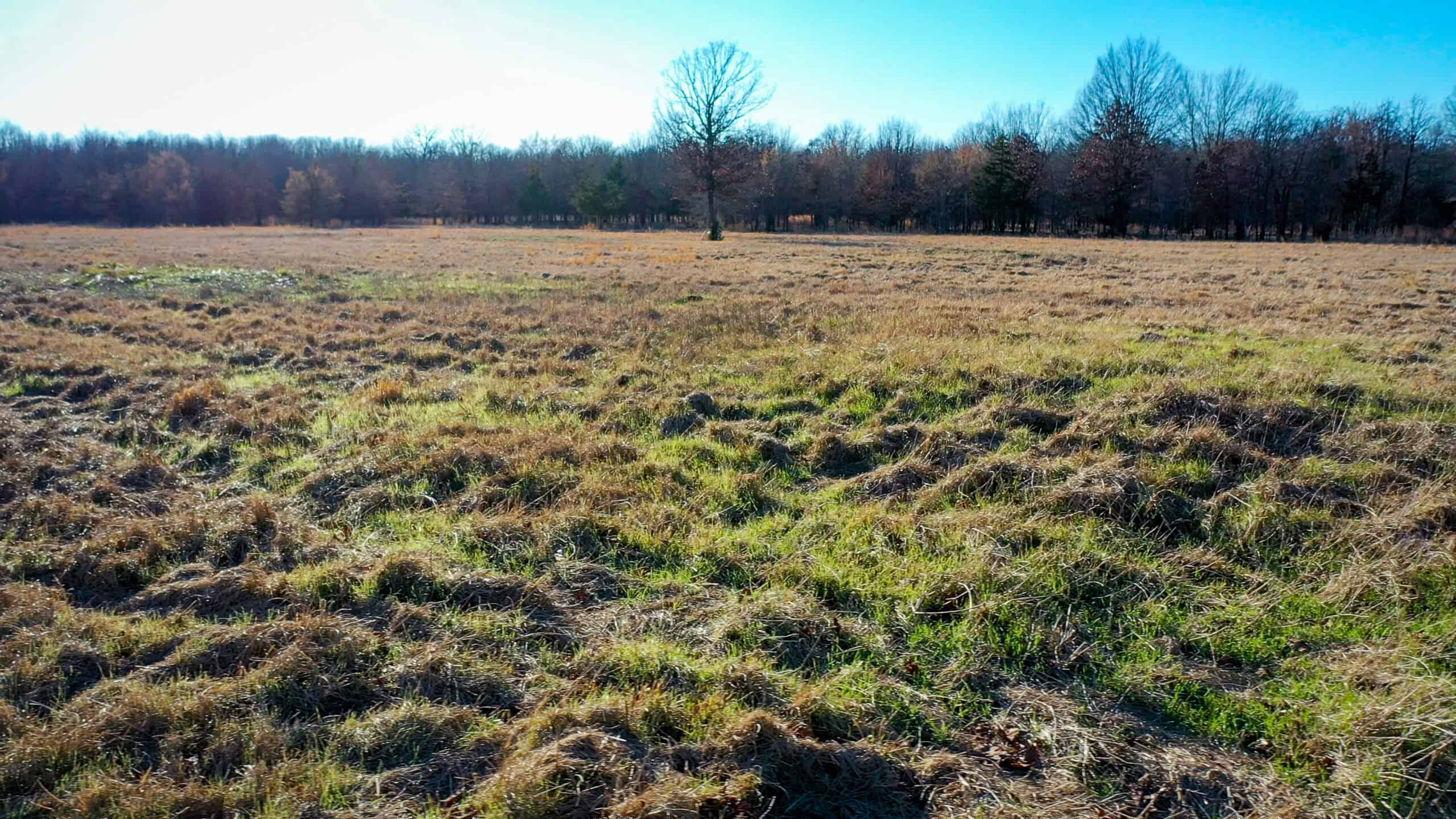 Recreational & Hunting Property in Lamar and Red River County, Texas