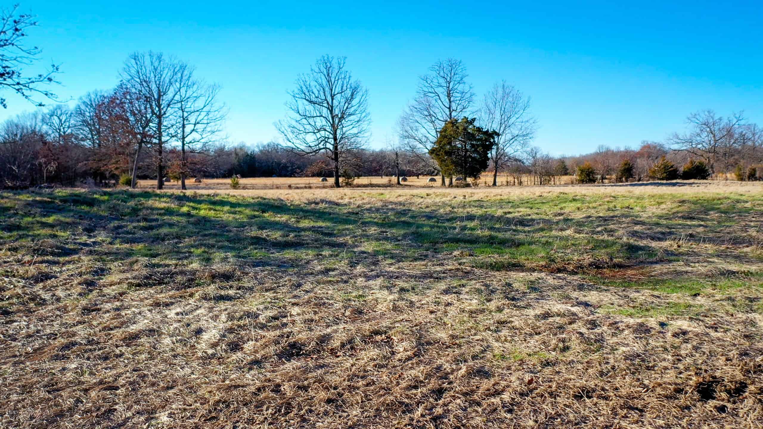 Recreational & Hunting Property in Lamar and Red River County, Texas