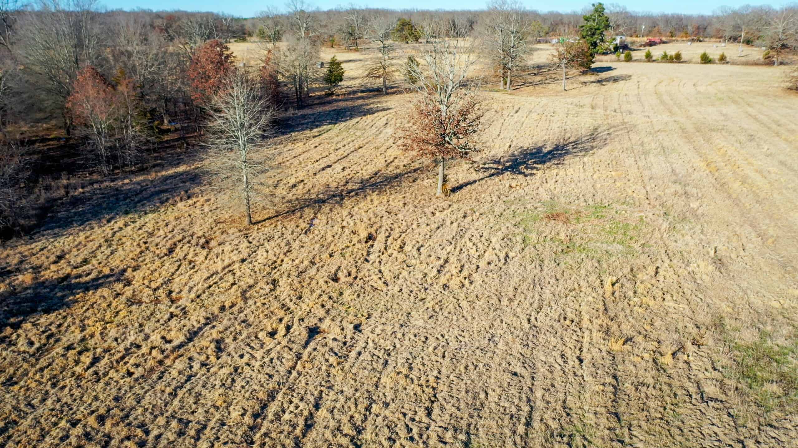 Recreational & Hunting Property in Lamar and Red River County, Texas