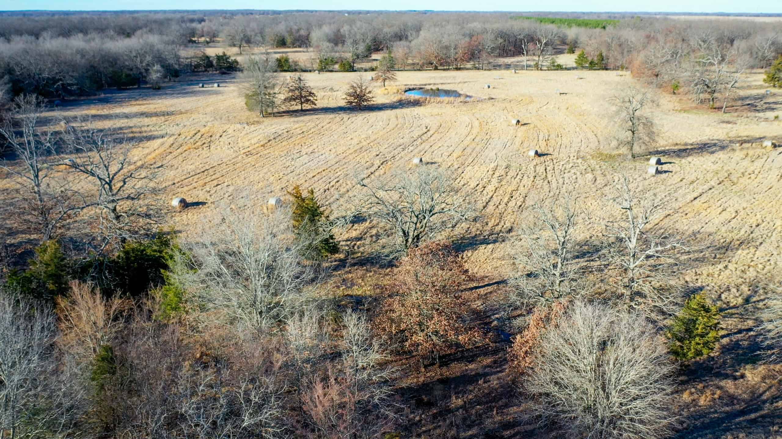 Recreational & Hunting Property in Lamar and Red River County, Texas