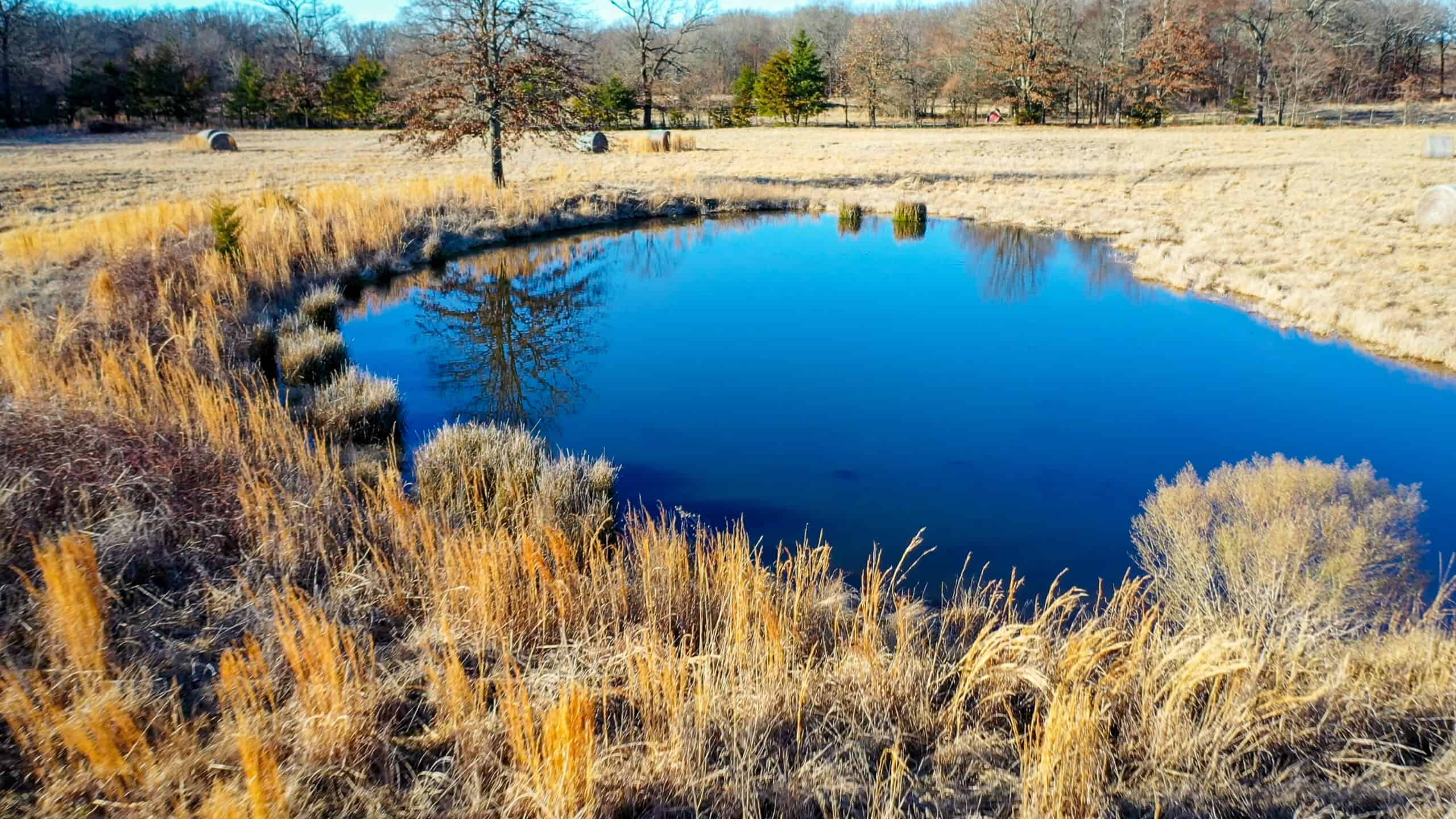 Recreational & Hunting Property in Lamar and Red River County, Texas
