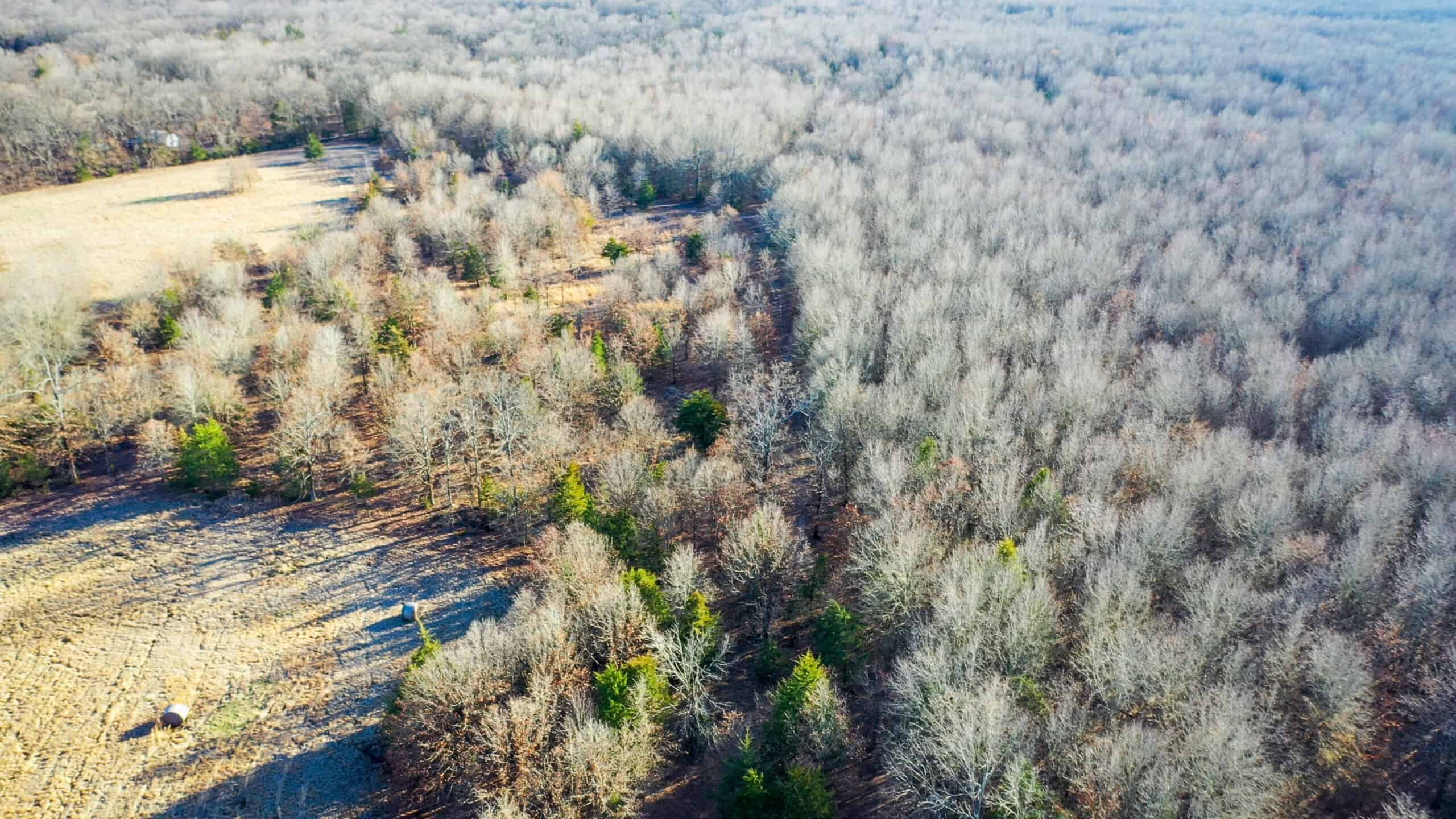 Recreational & Hunting Property in Lamar and Red River County, Texas