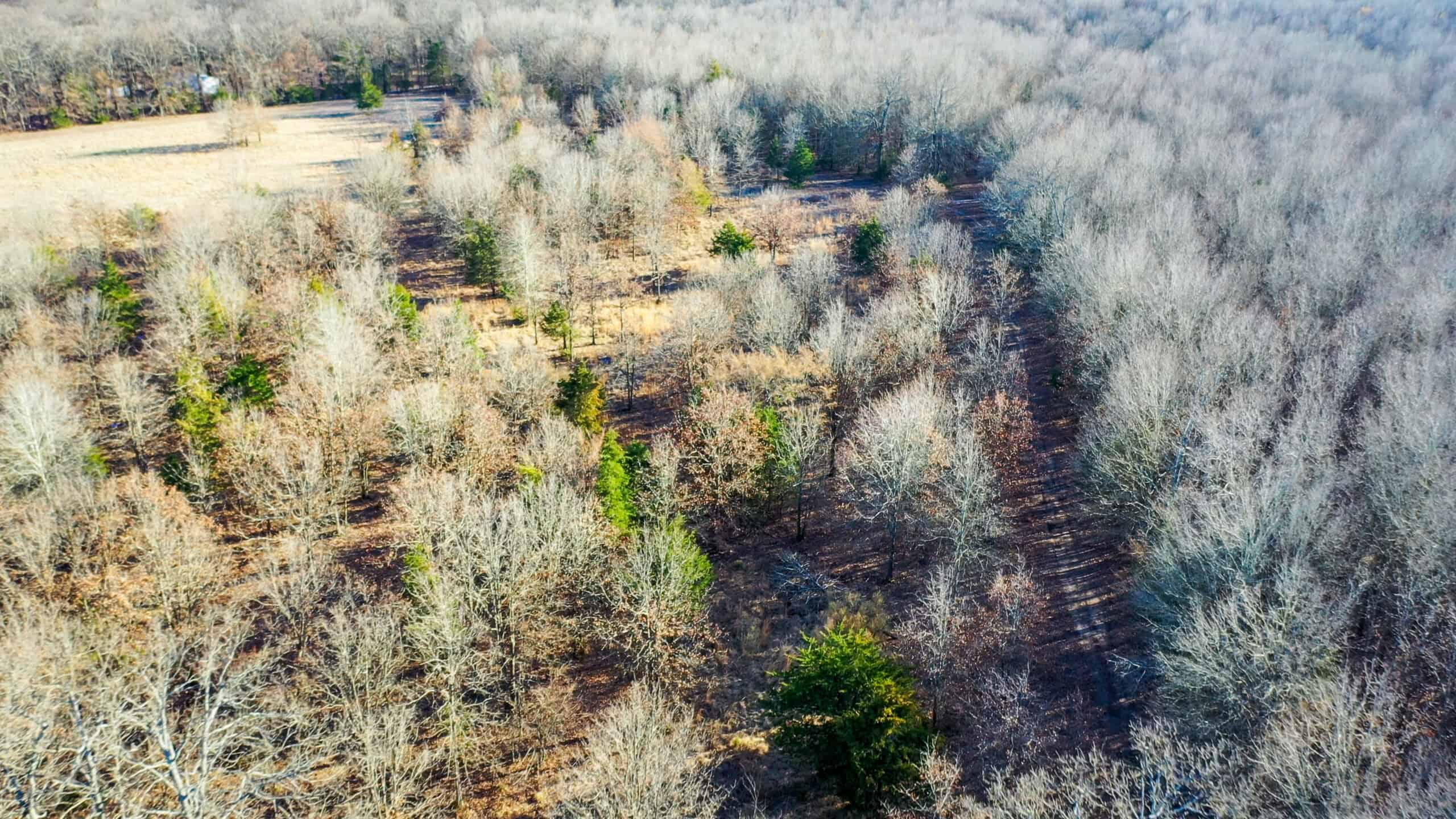 Recreational & Hunting Property in Lamar and Red River County, Texas