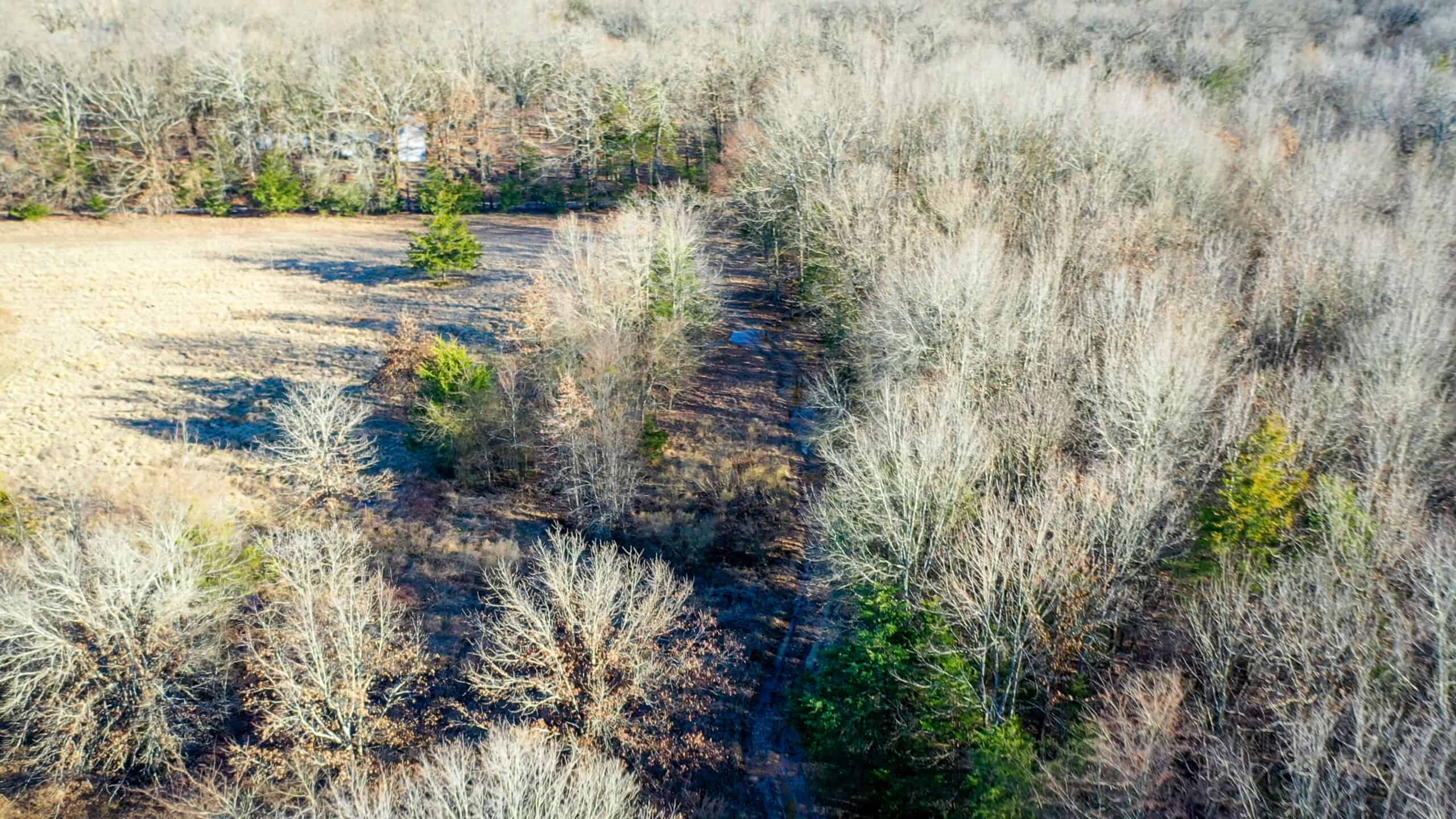 Recreational & Hunting Property in Lamar and Red River County, Texas