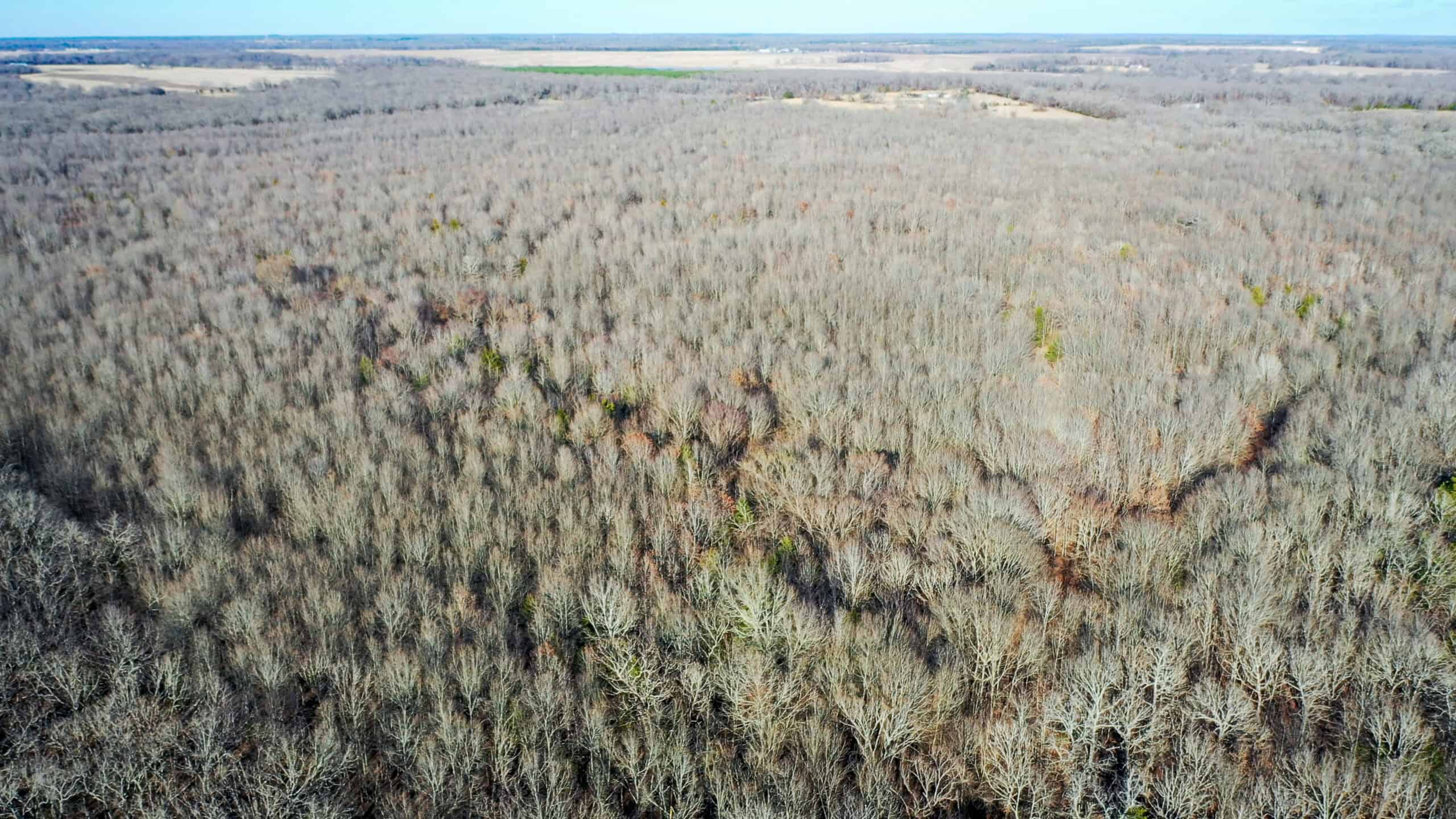 Recreational & Hunting Property in Lamar and Red River County, Texas