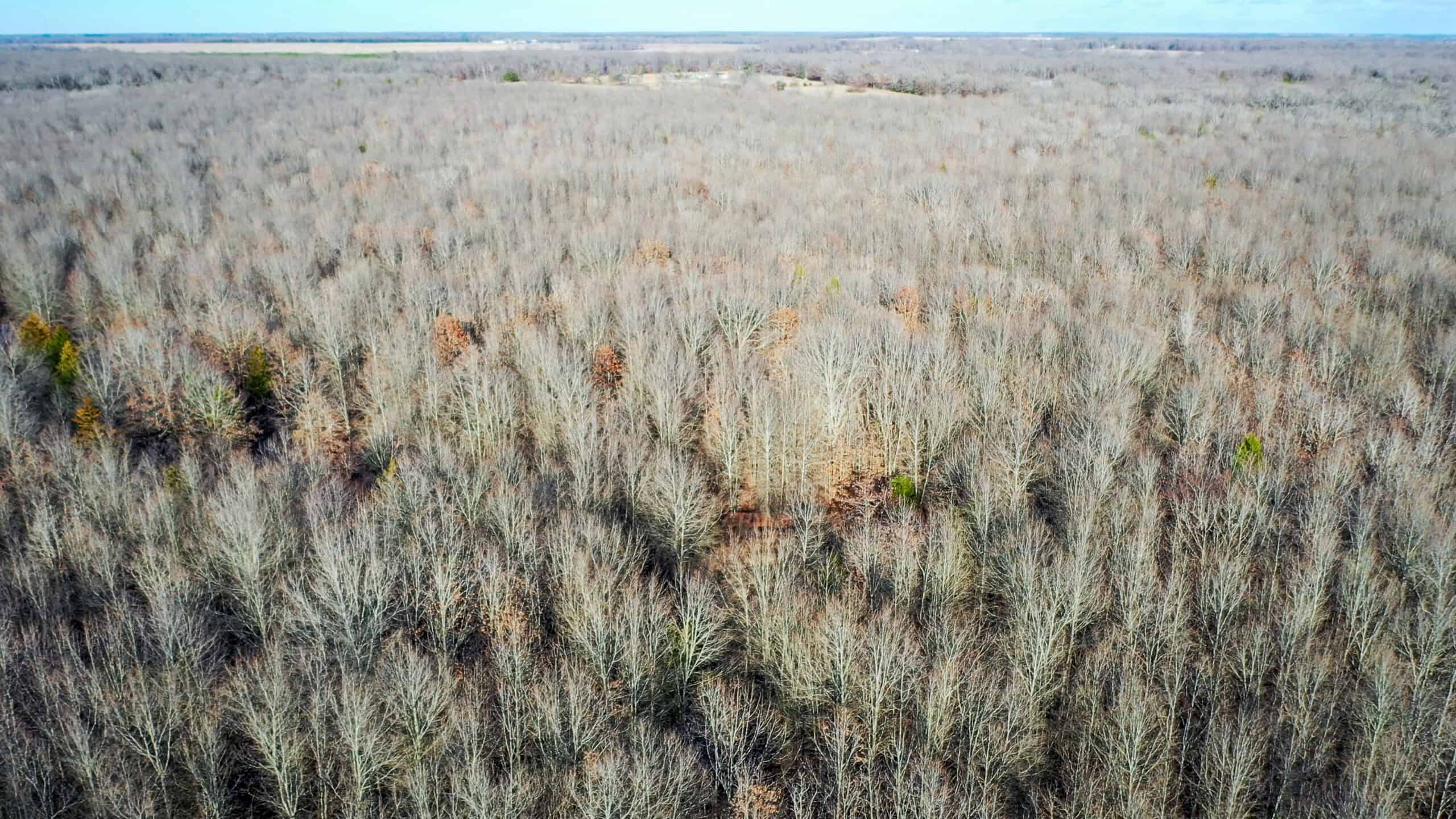Recreational & Hunting Property in Lamar and Red River County, Texas