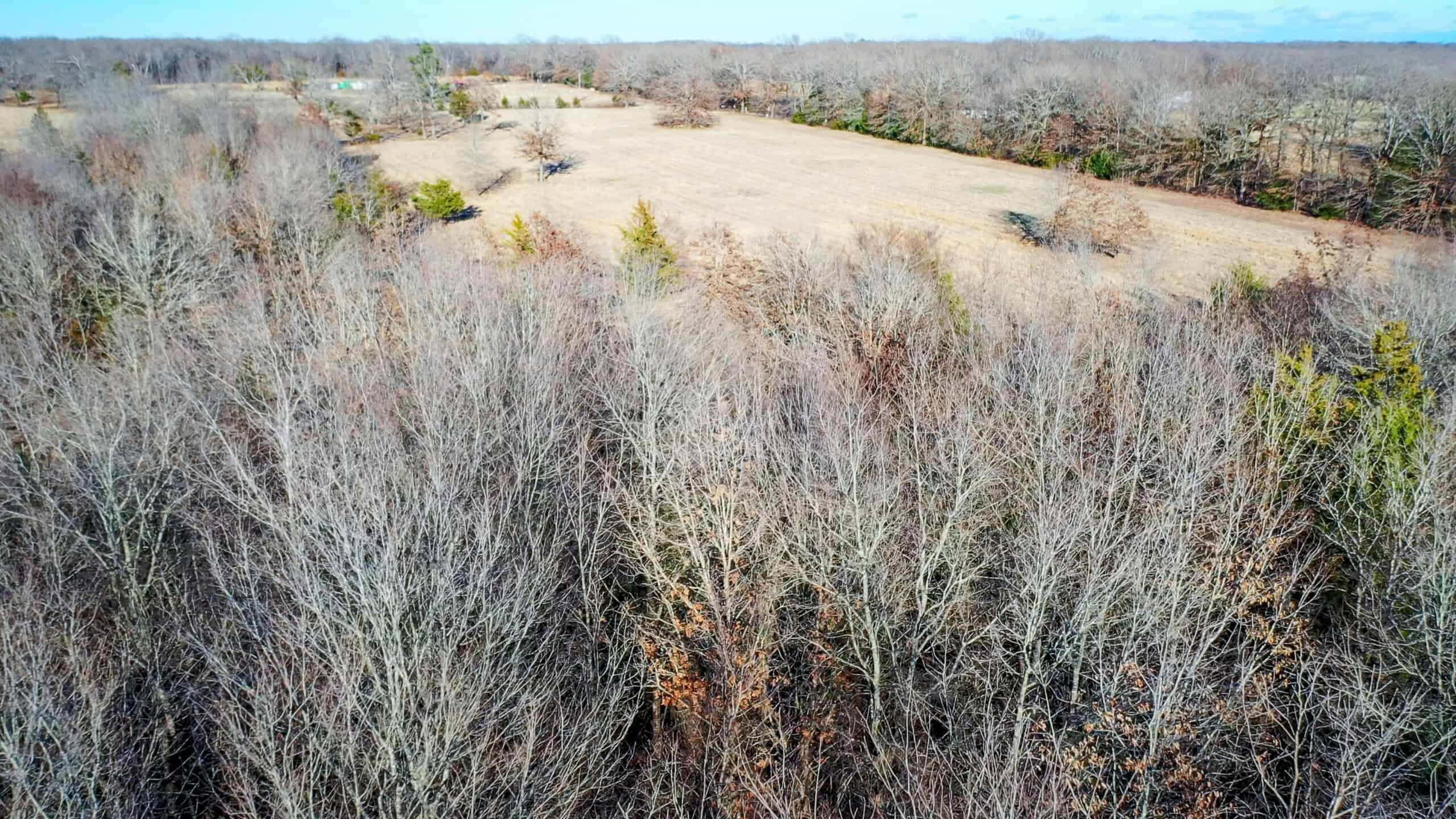 Recreational & Hunting Property in Lamar and Red River County, Texas