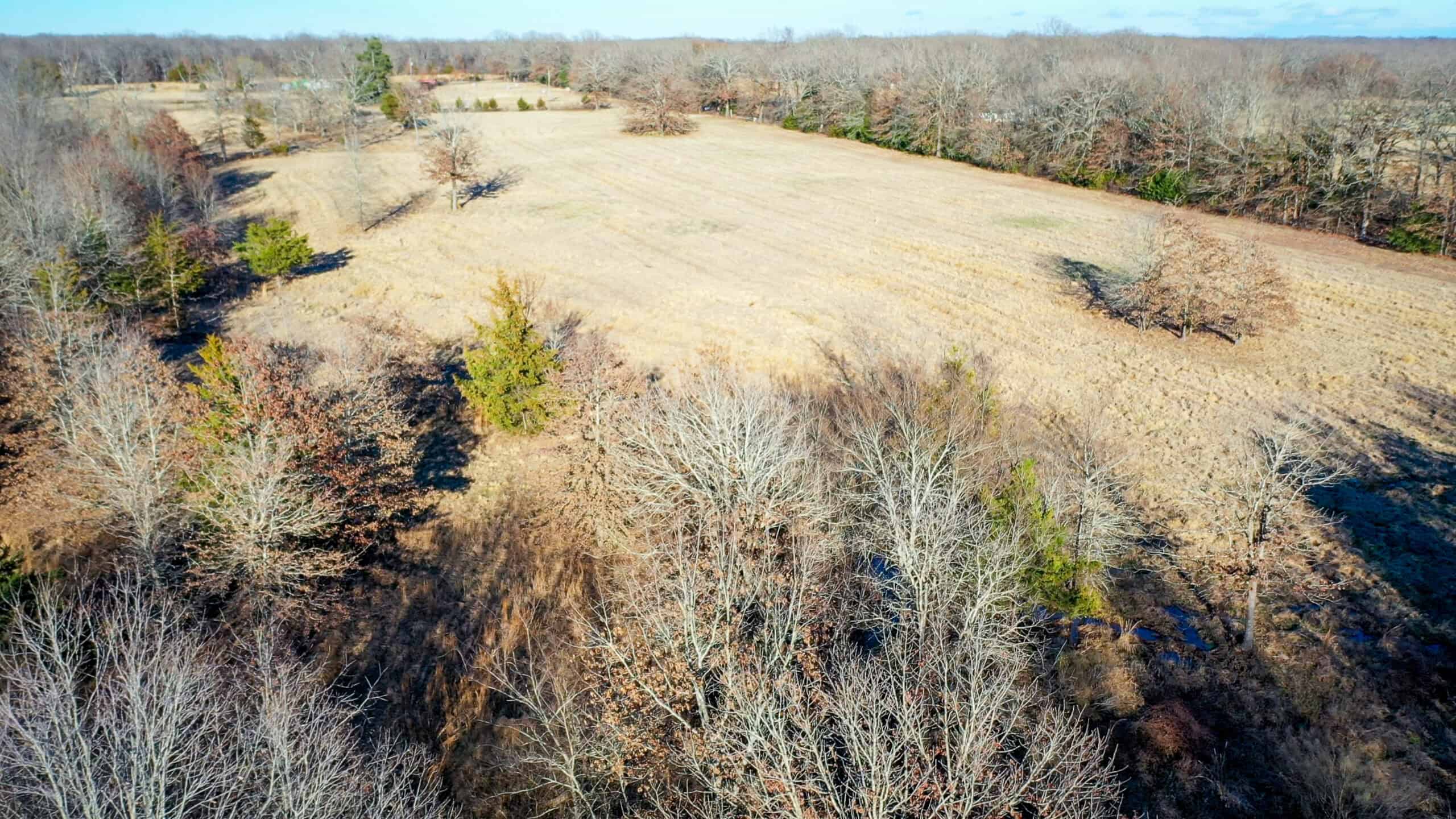 Recreational & Hunting Property in Lamar and Red River County, Texas