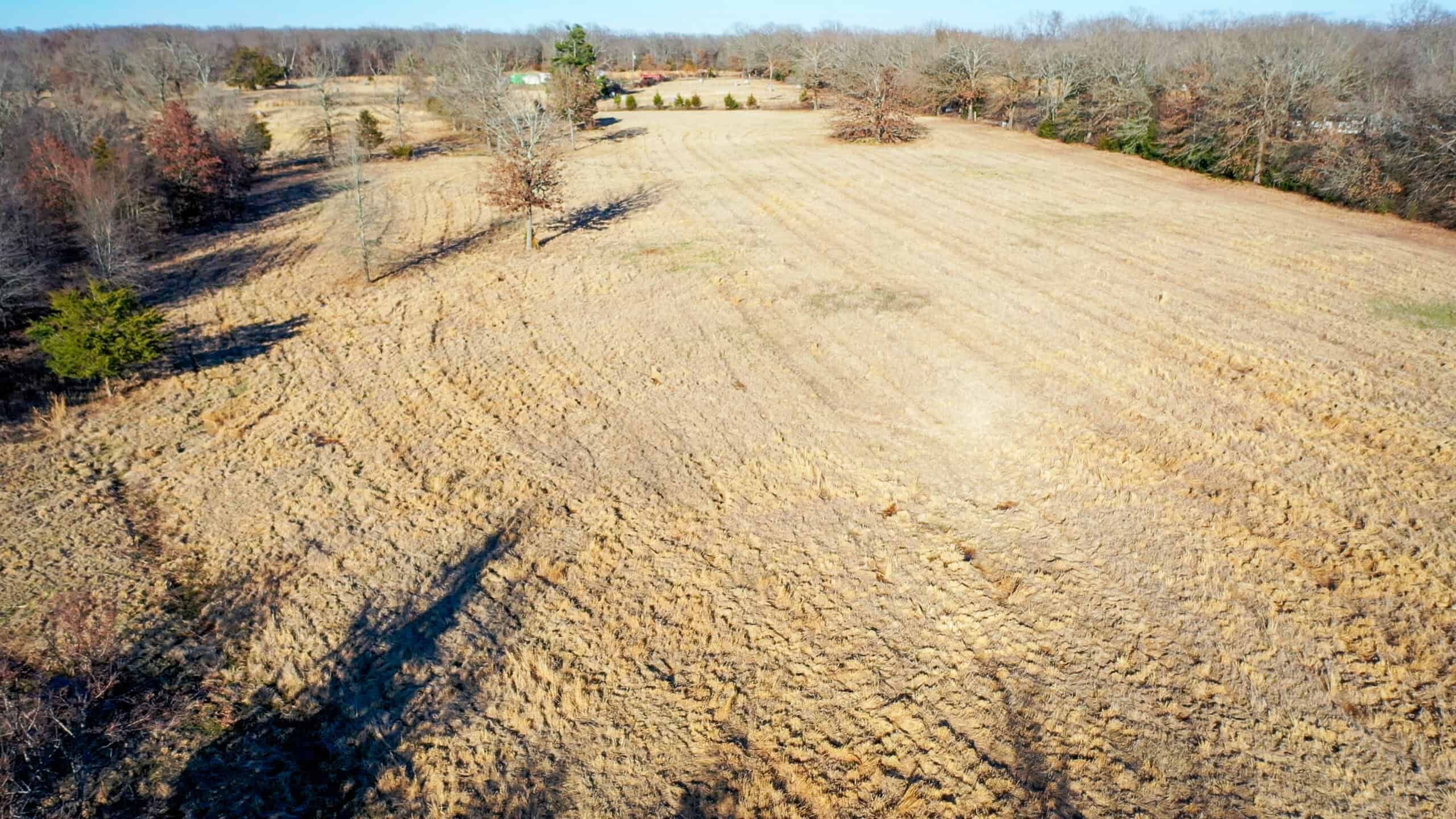Recreational & Hunting Property in Lamar and Red River County, Texas