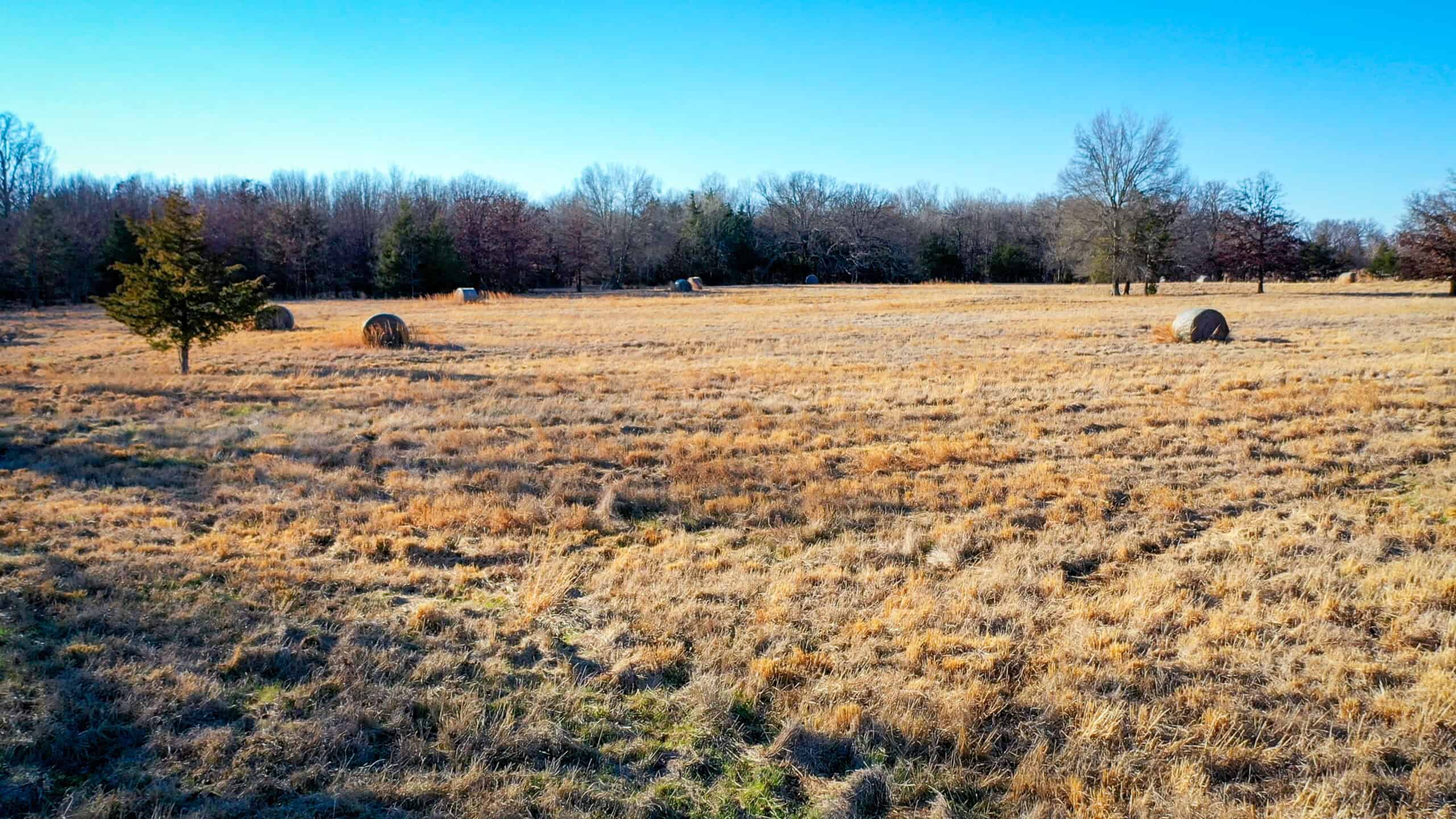 Recreational & Hunting Property in Lamar and Red River County, Texas
