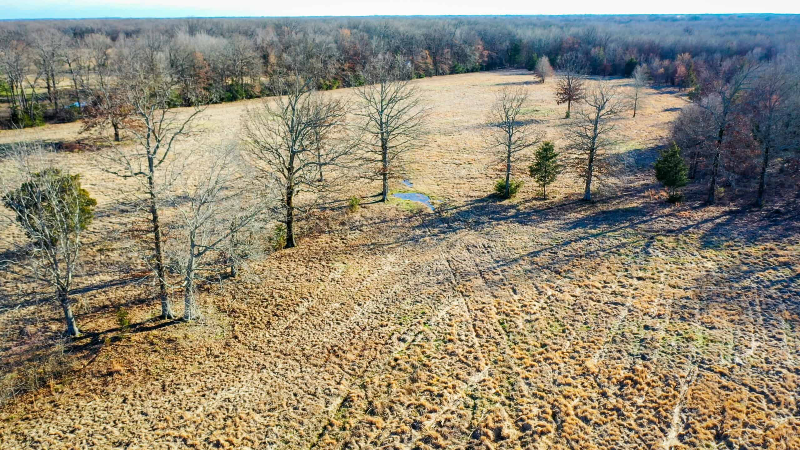 Recreational & Hunting Property in Lamar and Red River County, Texas