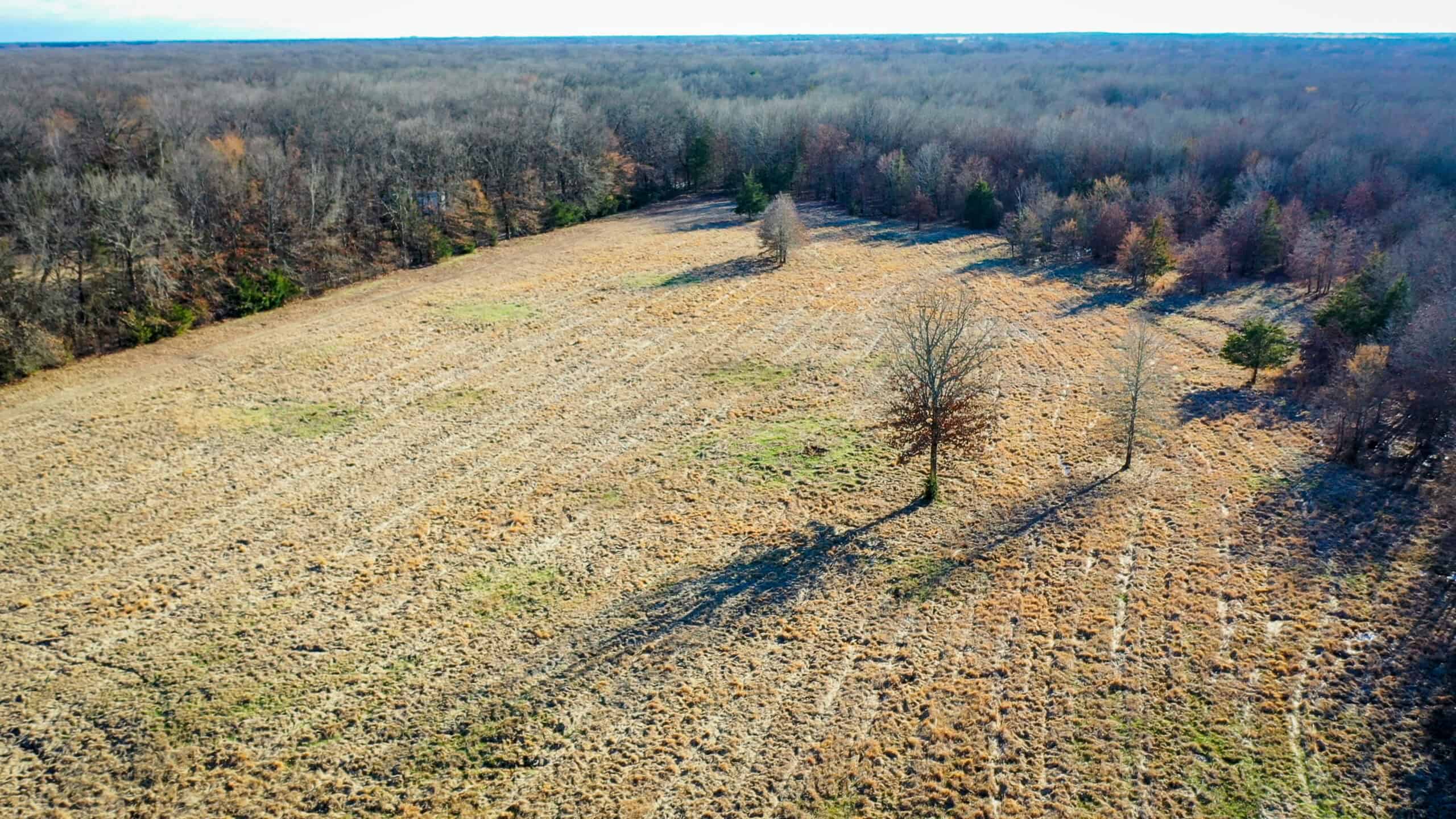 Recreational & Hunting Property in Lamar and Red River County, Texas