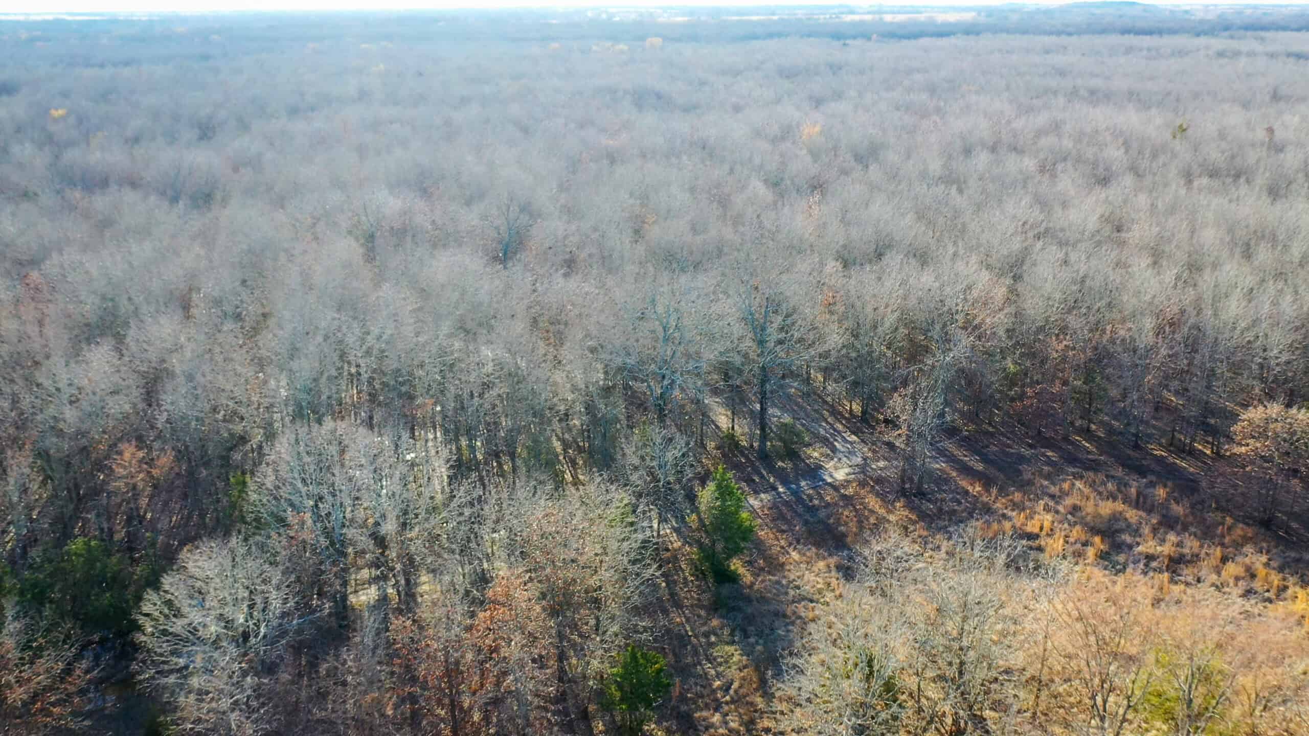 Recreational & Hunting Property in Lamar and Red River County, Texas
