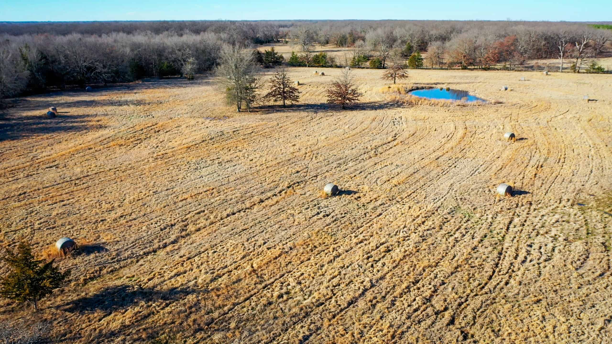 Recreational & Hunting Property in Lamar and Red River County, Texas