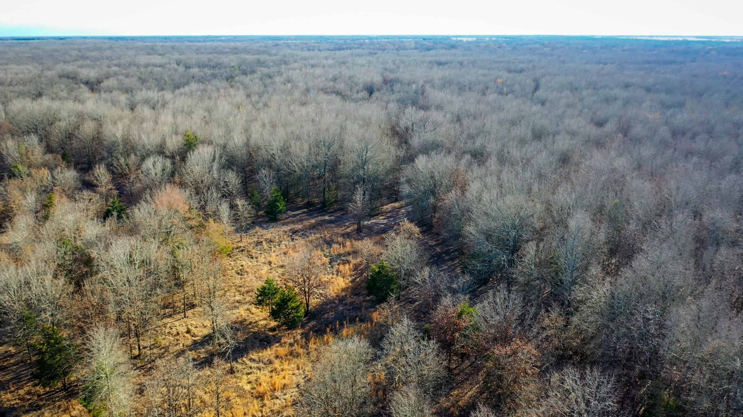 Recreational & Hunting Property in Lamar and Red River County, Texas