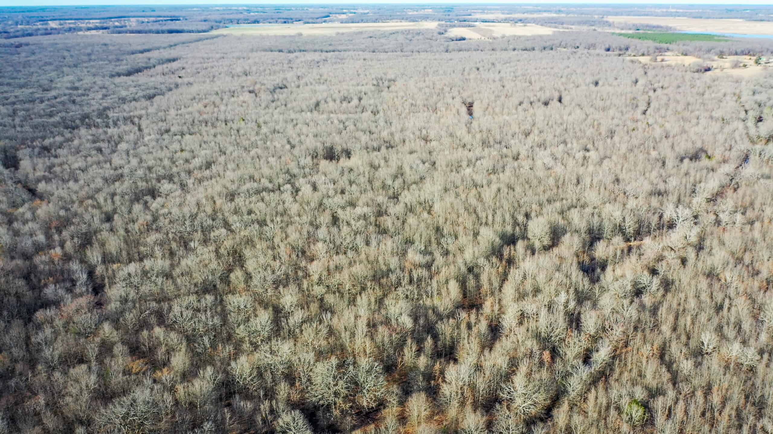 Recreational & Hunting Property in Lamar and Red River County, Texas