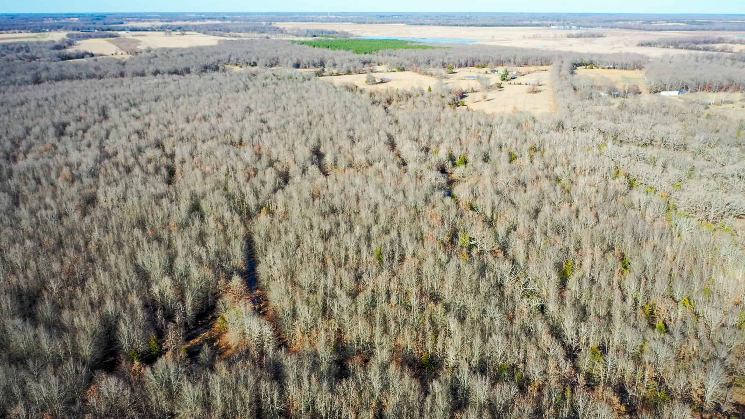 Recreational & Hunting Property in Lamar and Red River County, Texas