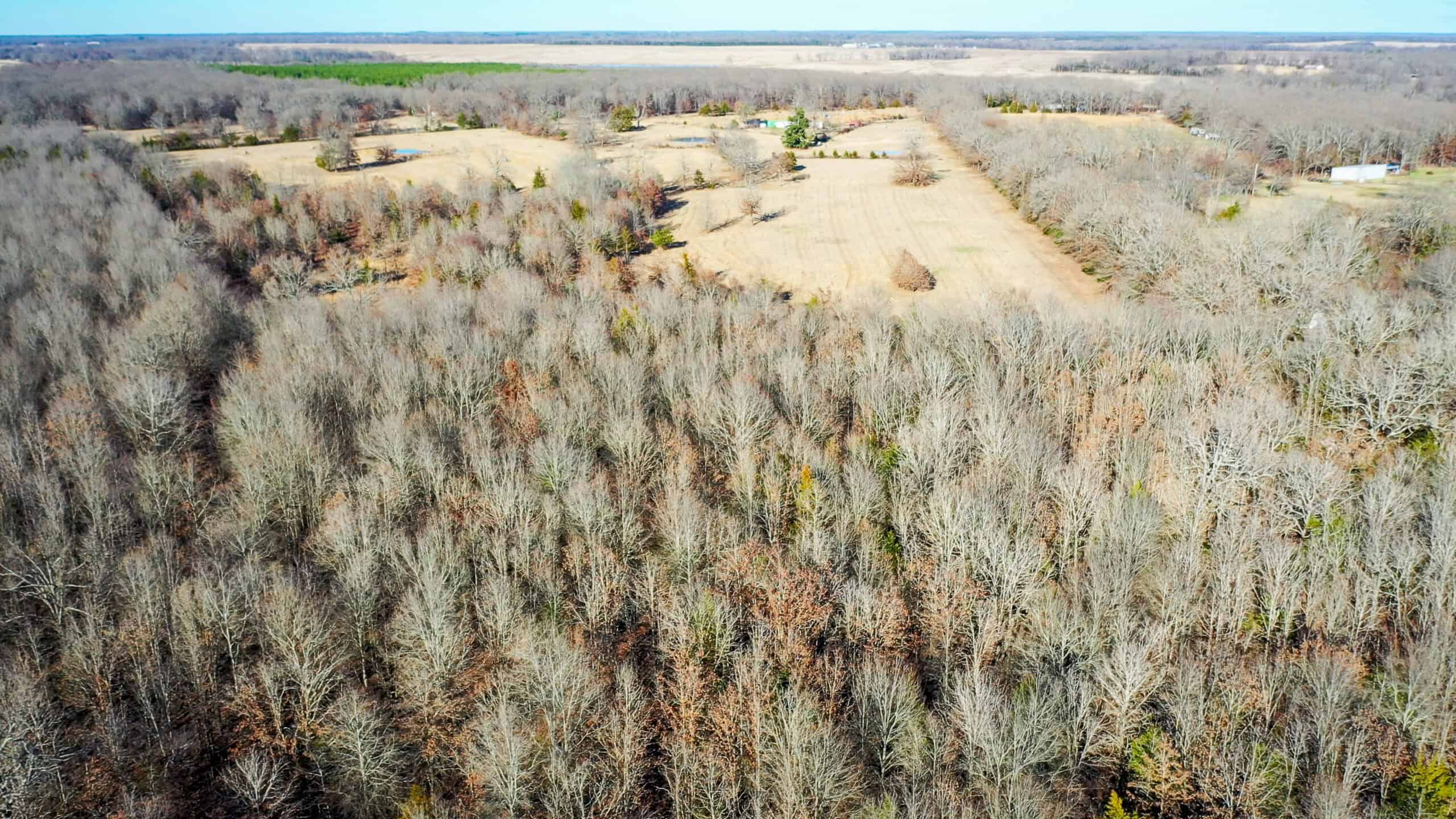 Recreational & Hunting Property in Lamar and Red River County, Texas