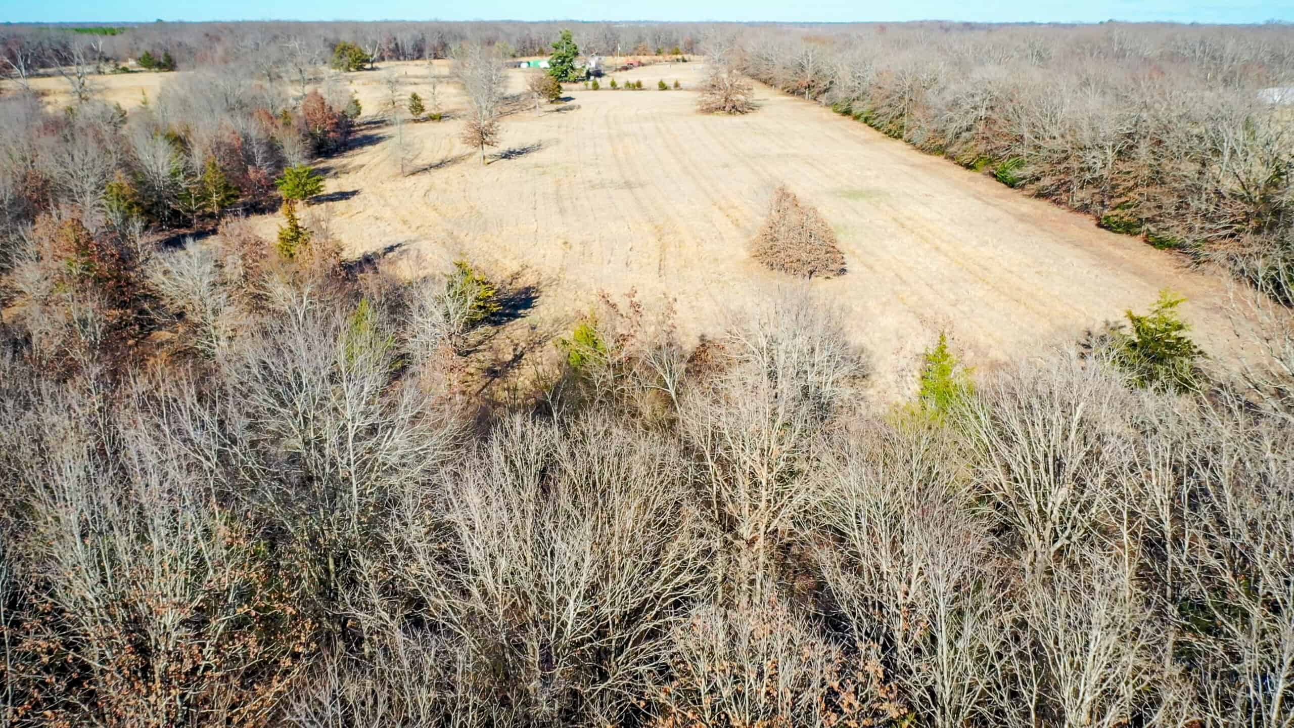 Recreational & Hunting Property in Lamar and Red River County, Texas