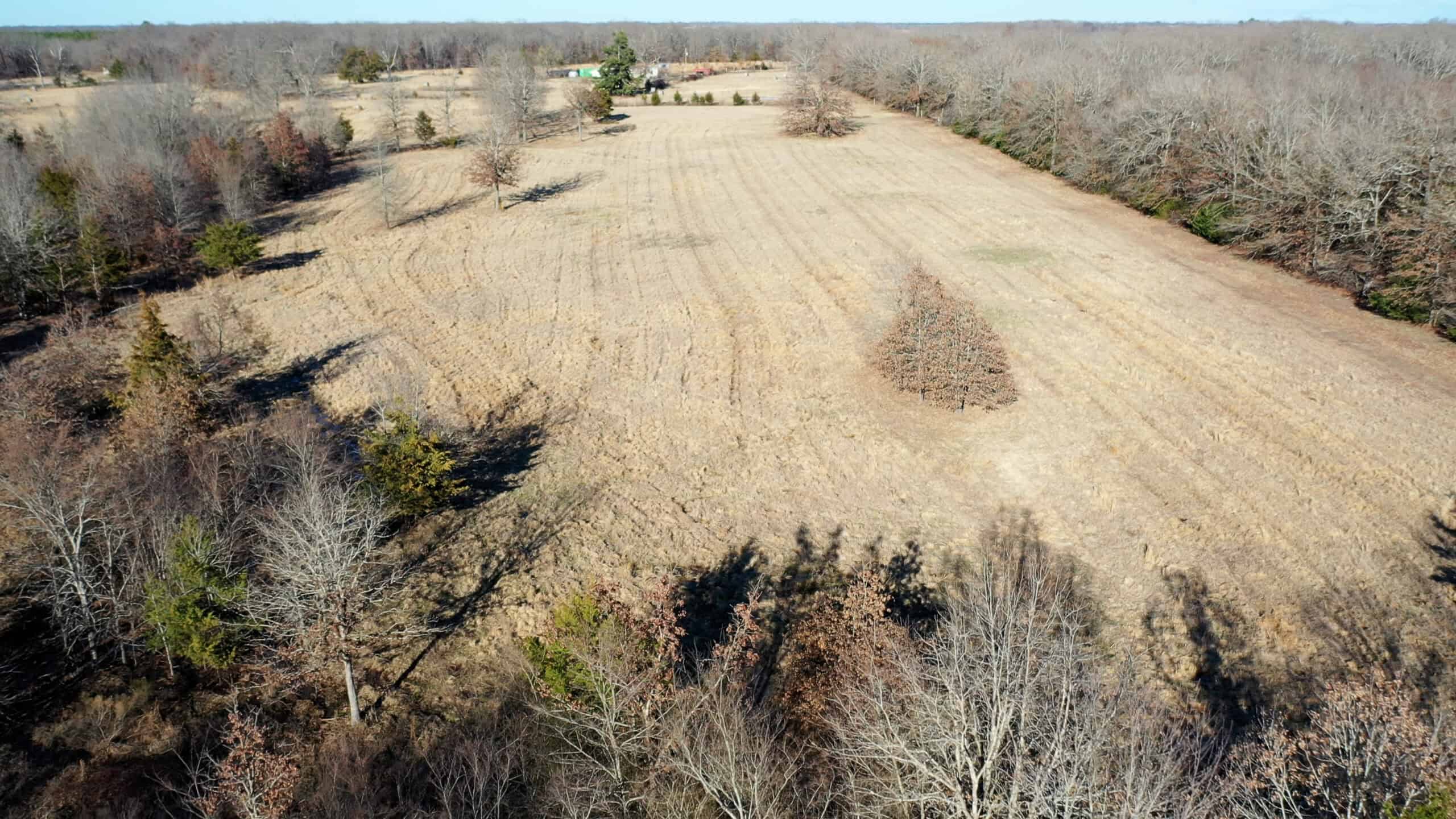Recreational & Hunting Property in Lamar and Red River County, Texas