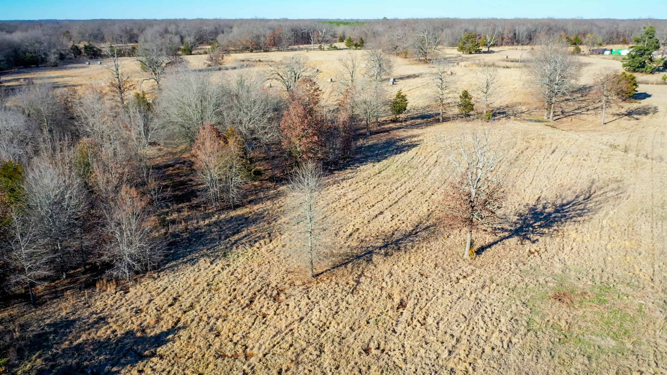 Recreational & Hunting Property in Lamar and Red River County, Texas