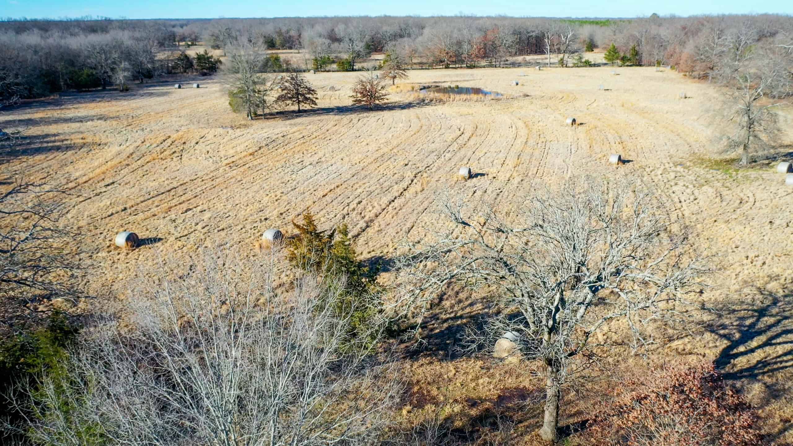 Recreational & Hunting Property in Lamar and Red River County, Texas