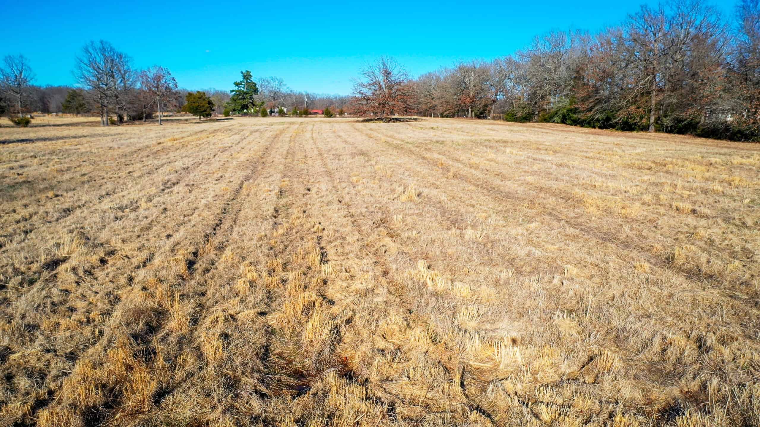 Recreational & Hunting Property in Lamar and Red River County, Texas