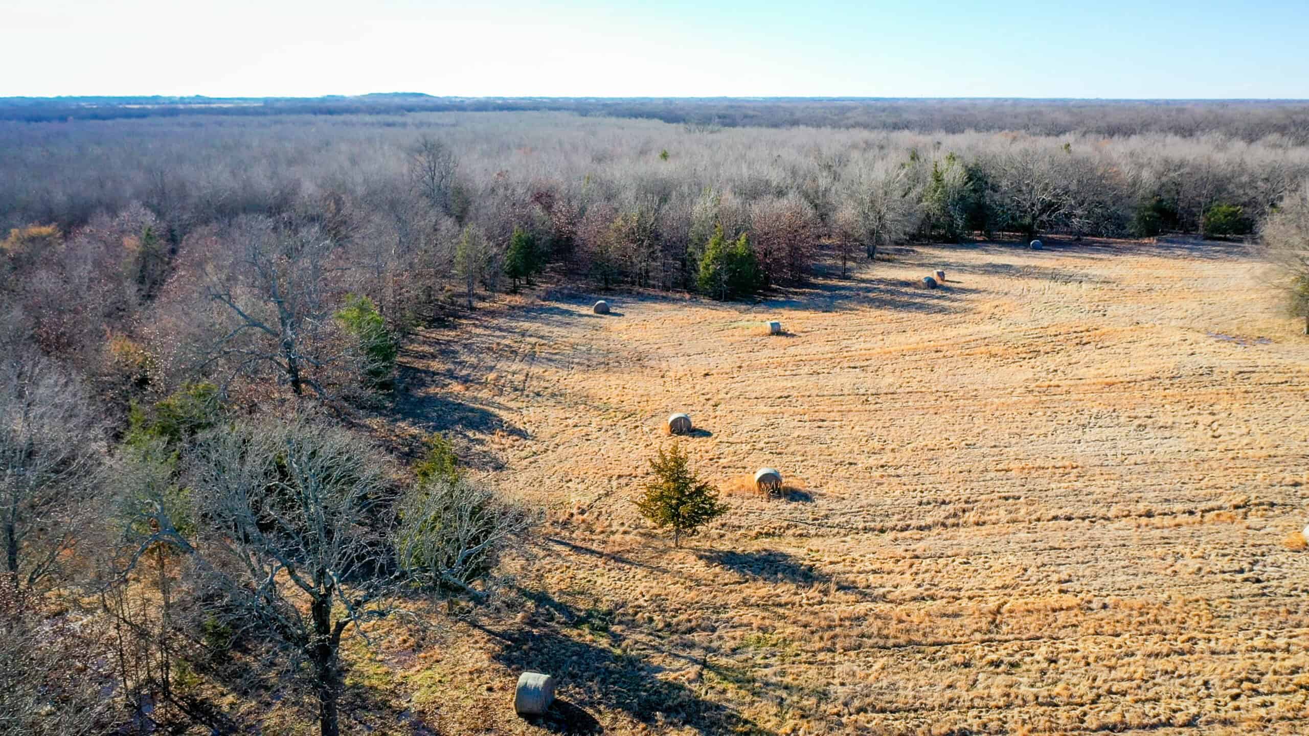 Recreational & Hunting Property in Lamar and Red River County, Texas