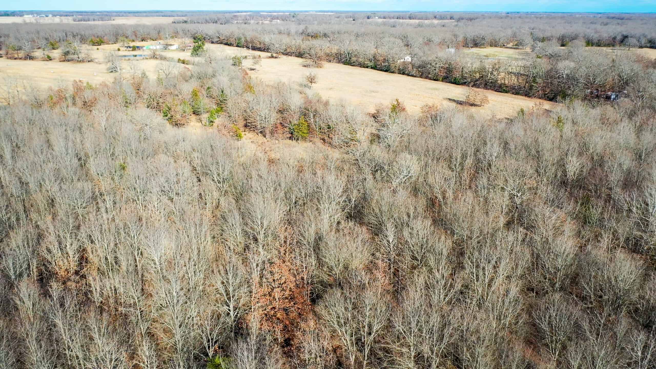 Recreational & Hunting Property in Lamar and Red River County, Texas