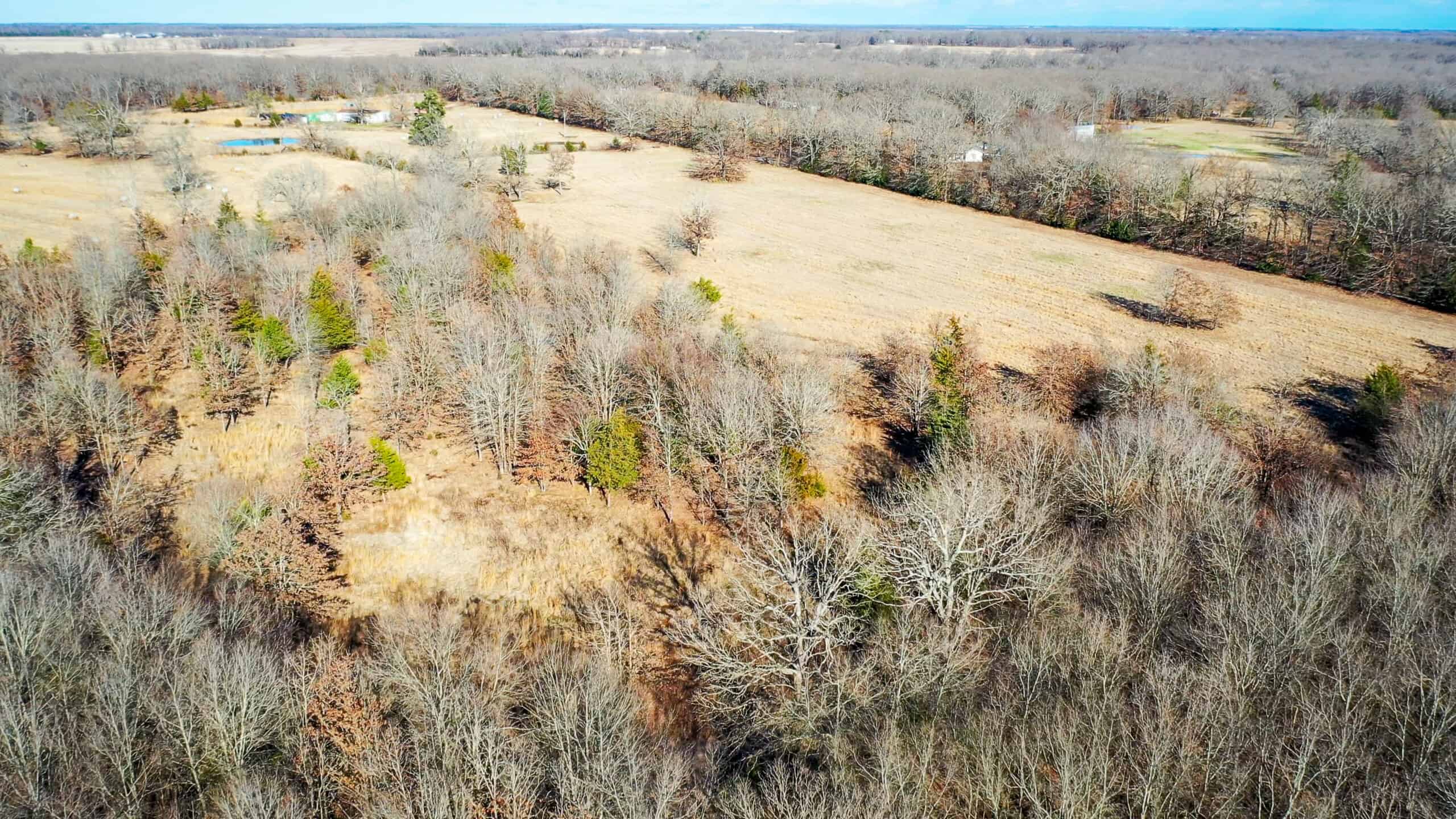 Recreational & Hunting Property in Lamar and Red River County, Texas