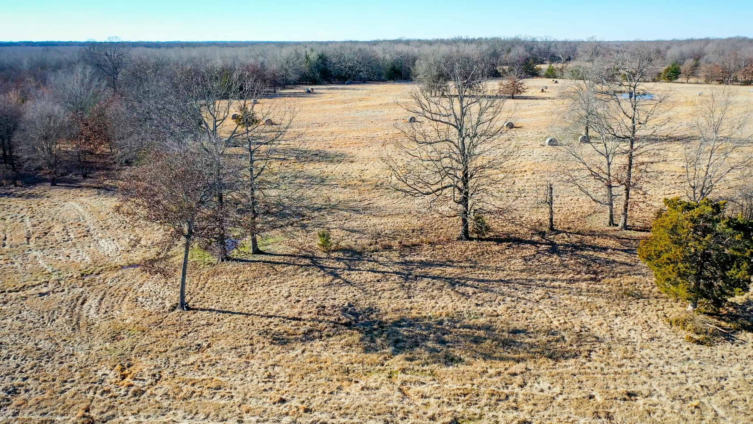 Recreational & Hunting Property in Lamar and Red River County, Texas