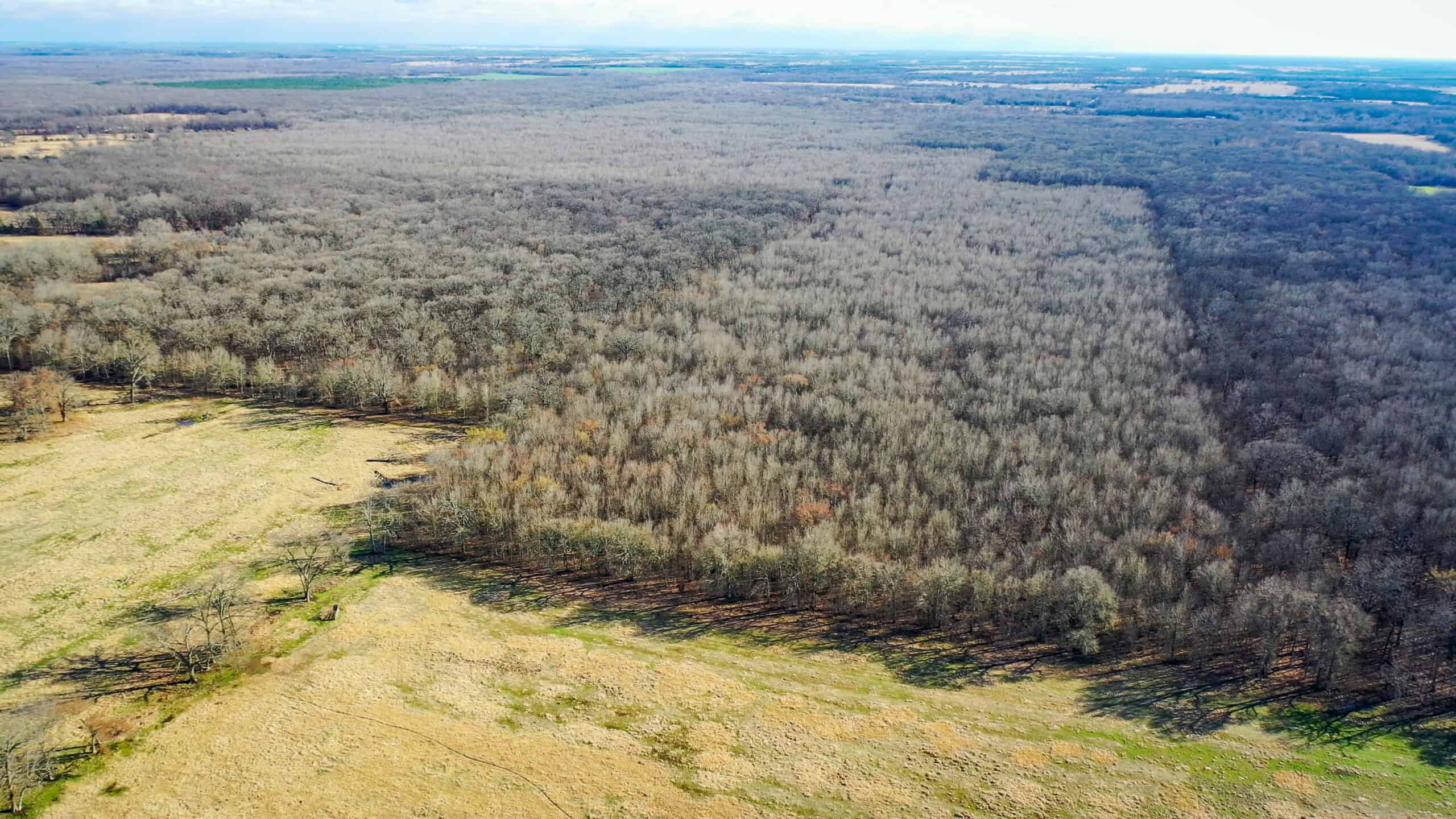Recreational & Hunting Property in Lamar and Red River County, Texas