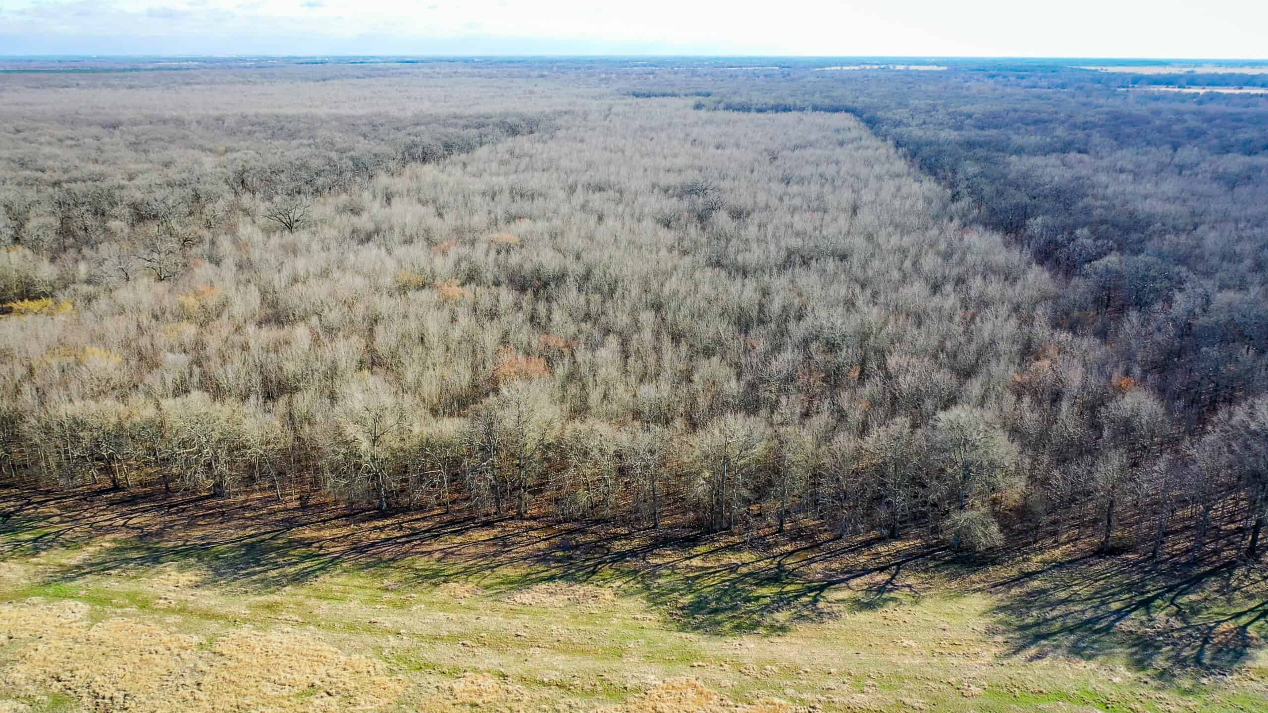 Recreational & Hunting Property in Lamar and Red River County, Texas