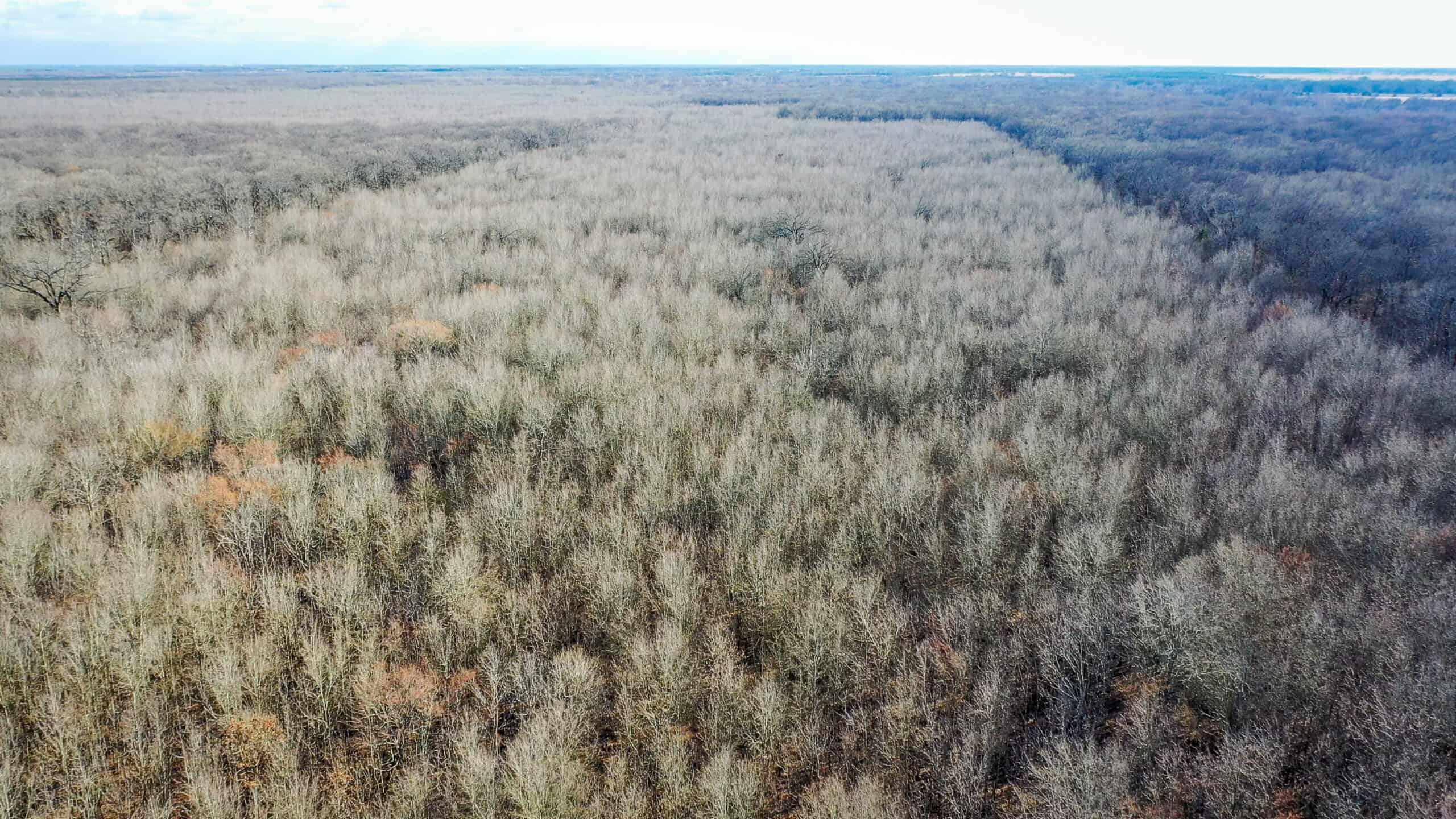 Recreational & Hunting Property in Lamar and Red River County, Texas