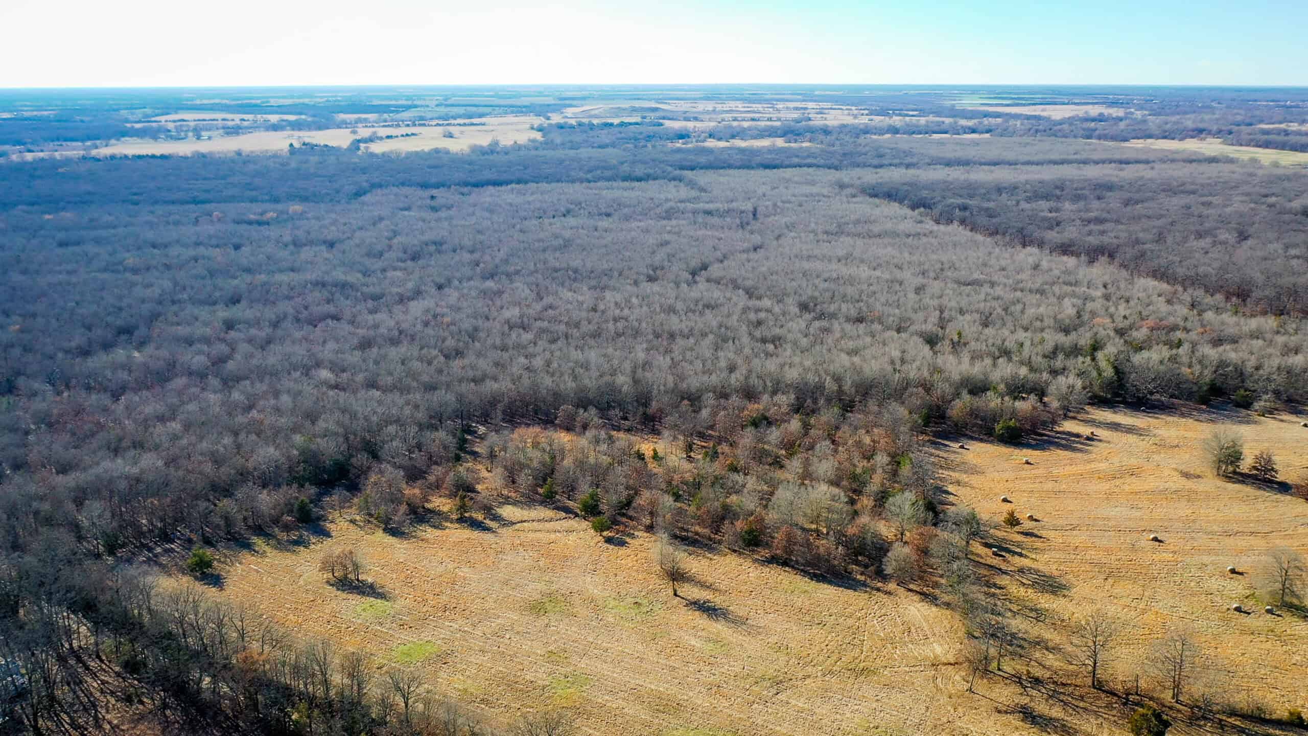 Recreational & Hunting Property in Lamar and Red River County, Texas