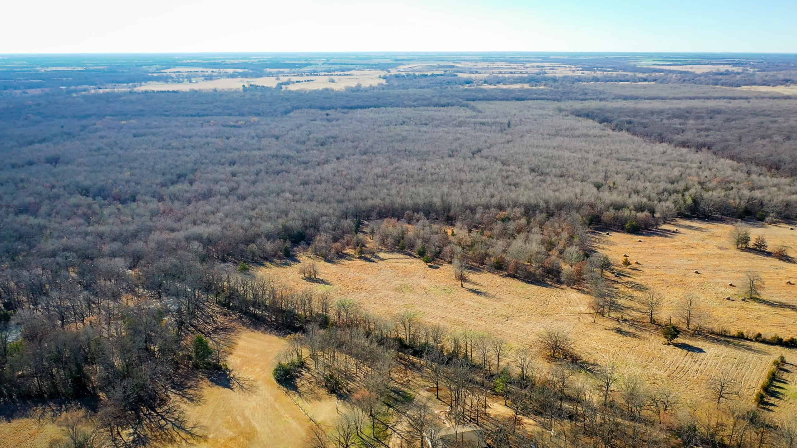 Recreational & Hunting Property in Lamar and Red River County, Texas