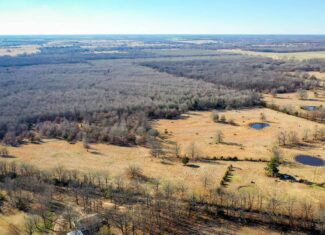 Recreational & Hunting Property in Lamar and Red River County, Texas