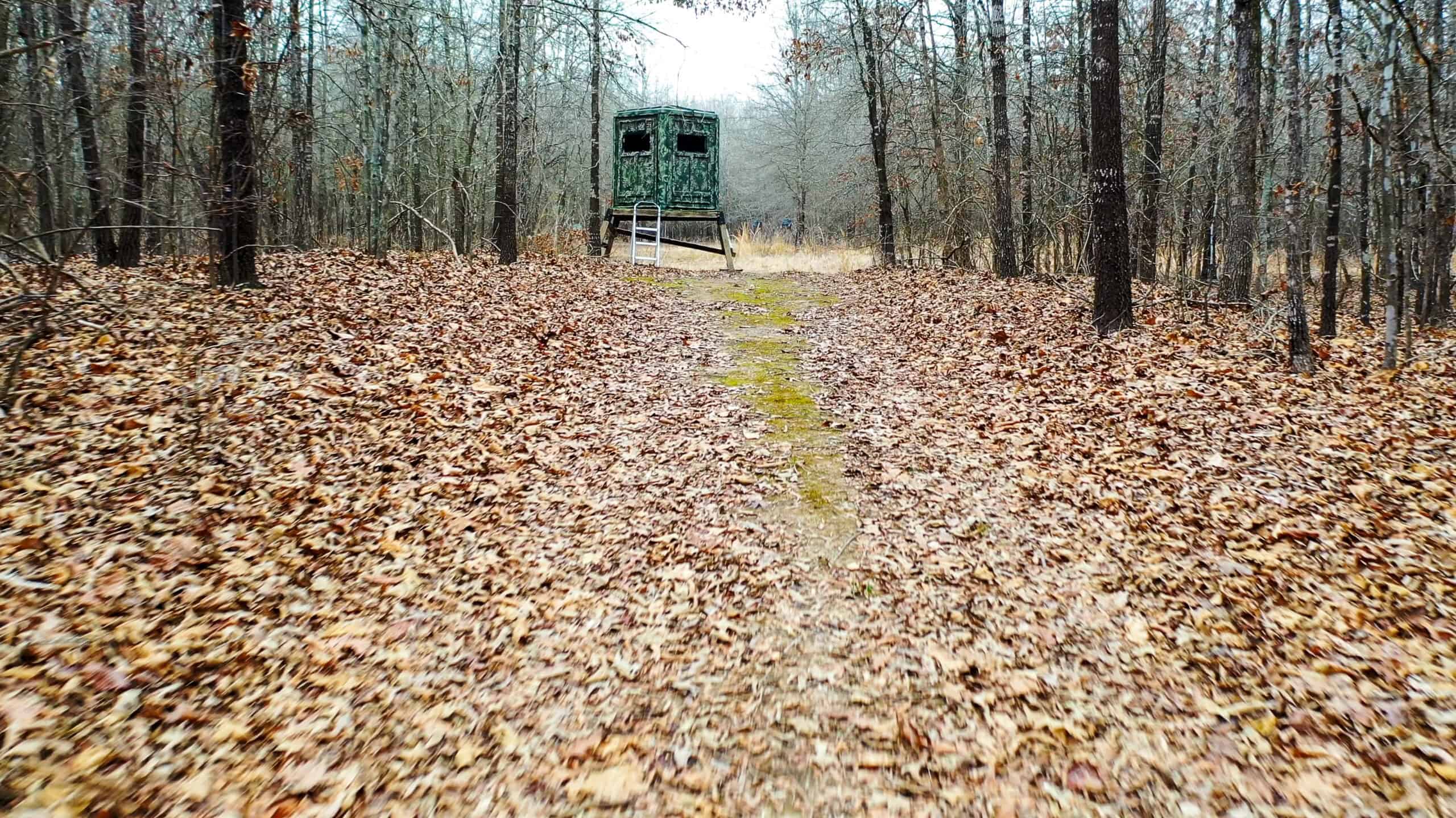 Recreational & Hunting Property in Lamar and Red River County, Texas