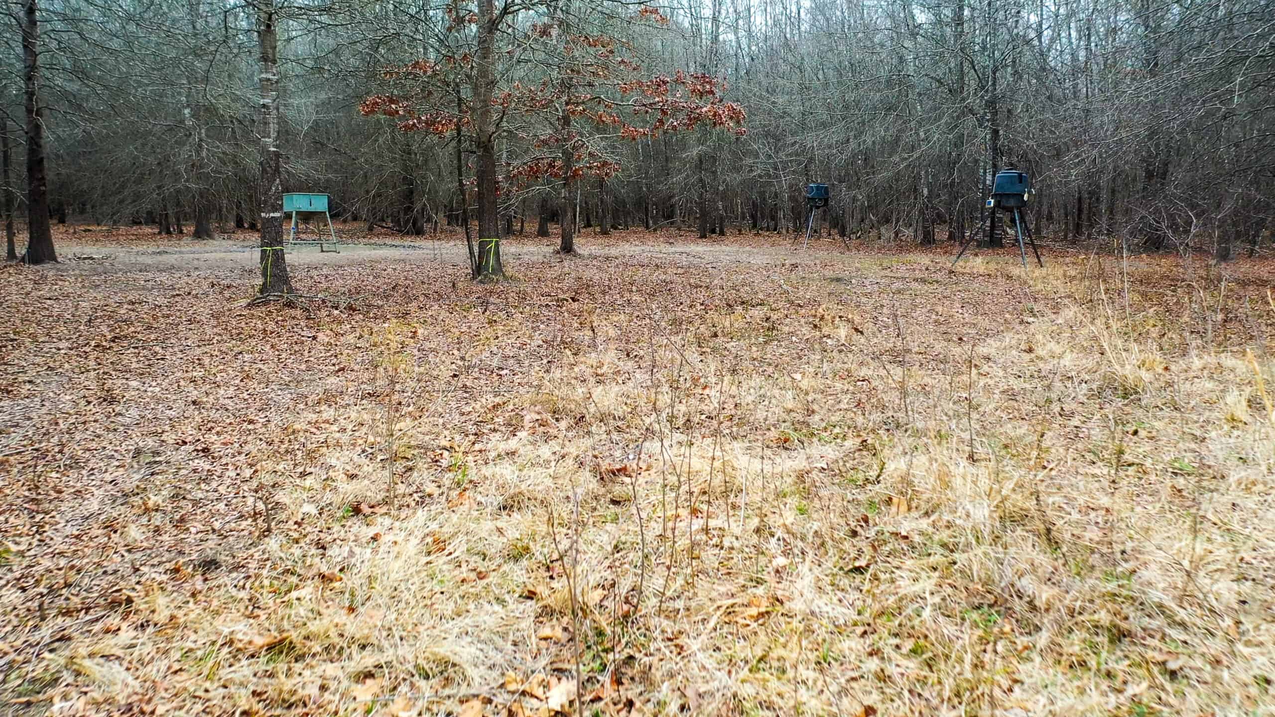 Recreational & Hunting Property in Lamar and Red River County, Texas