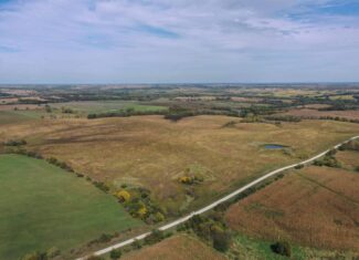 160 Acres m/l Iowa CRP/Hunting Farm