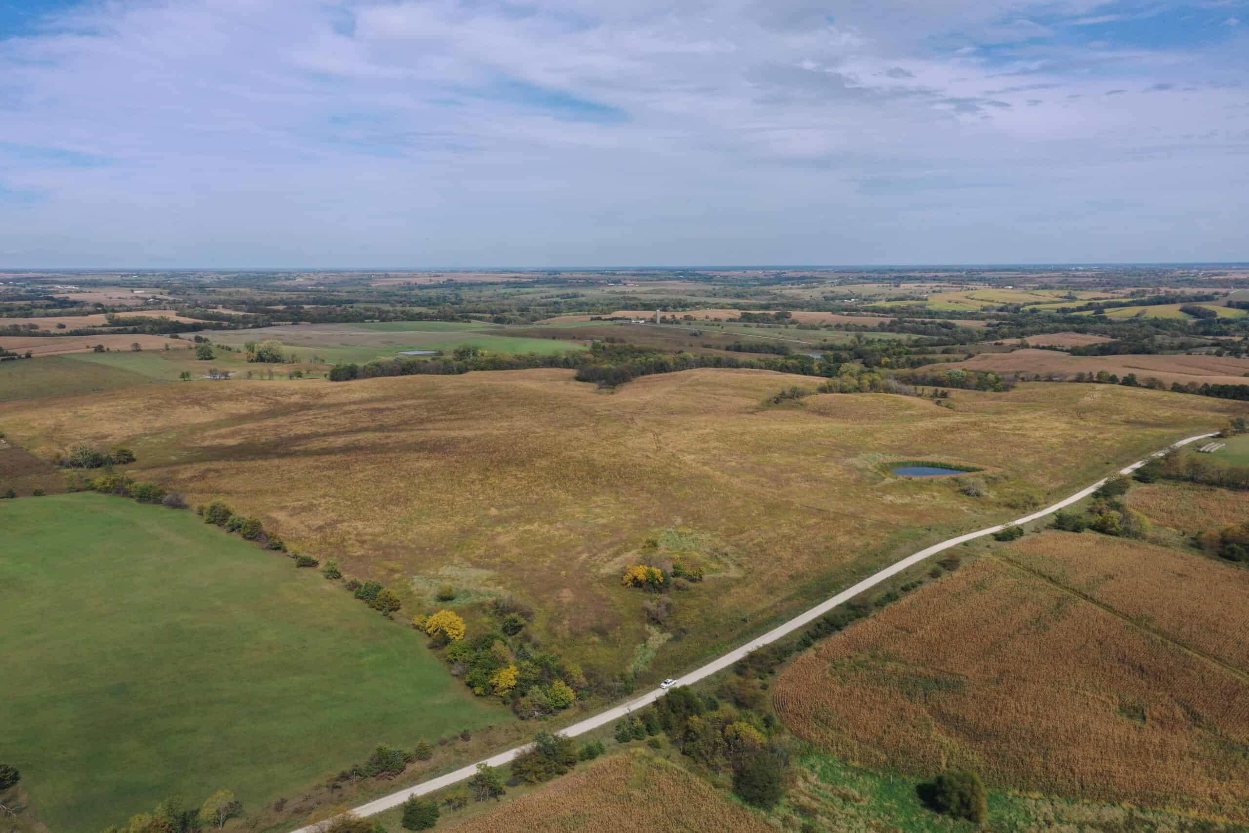 160 Acres m/l Iowa CRP/Hunting Farm