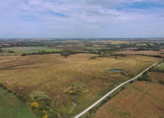 160 Acres m/l Iowa CRP/Hunting Farm