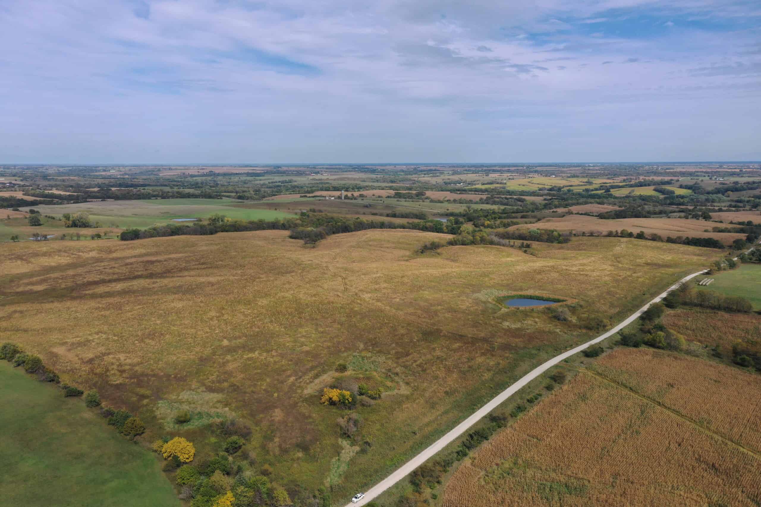 160 Acres m/l Iowa CRP/Hunting Farm