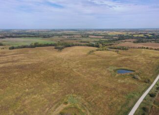 160 Acres m/l Iowa CRP/Hunting Farm