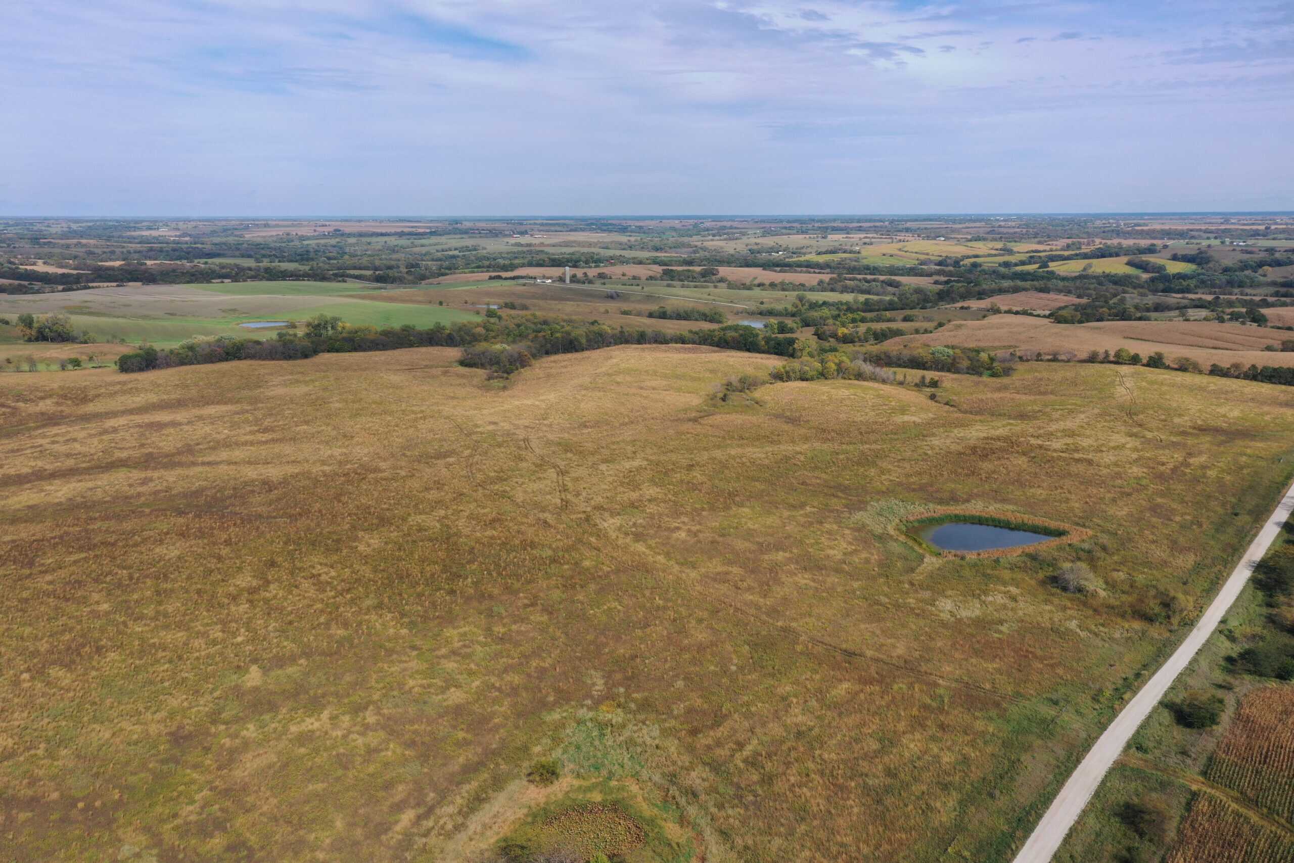 160 Acres m/l Iowa CRP/Hunting Farm