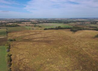 160 Acres m/l Iowa CRP/Hunting Farm