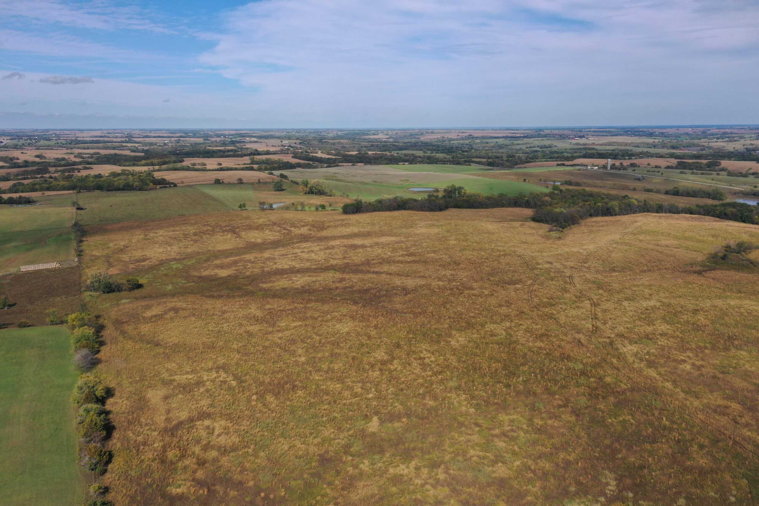 160 Acres m/l Iowa CRP/Hunting Farm