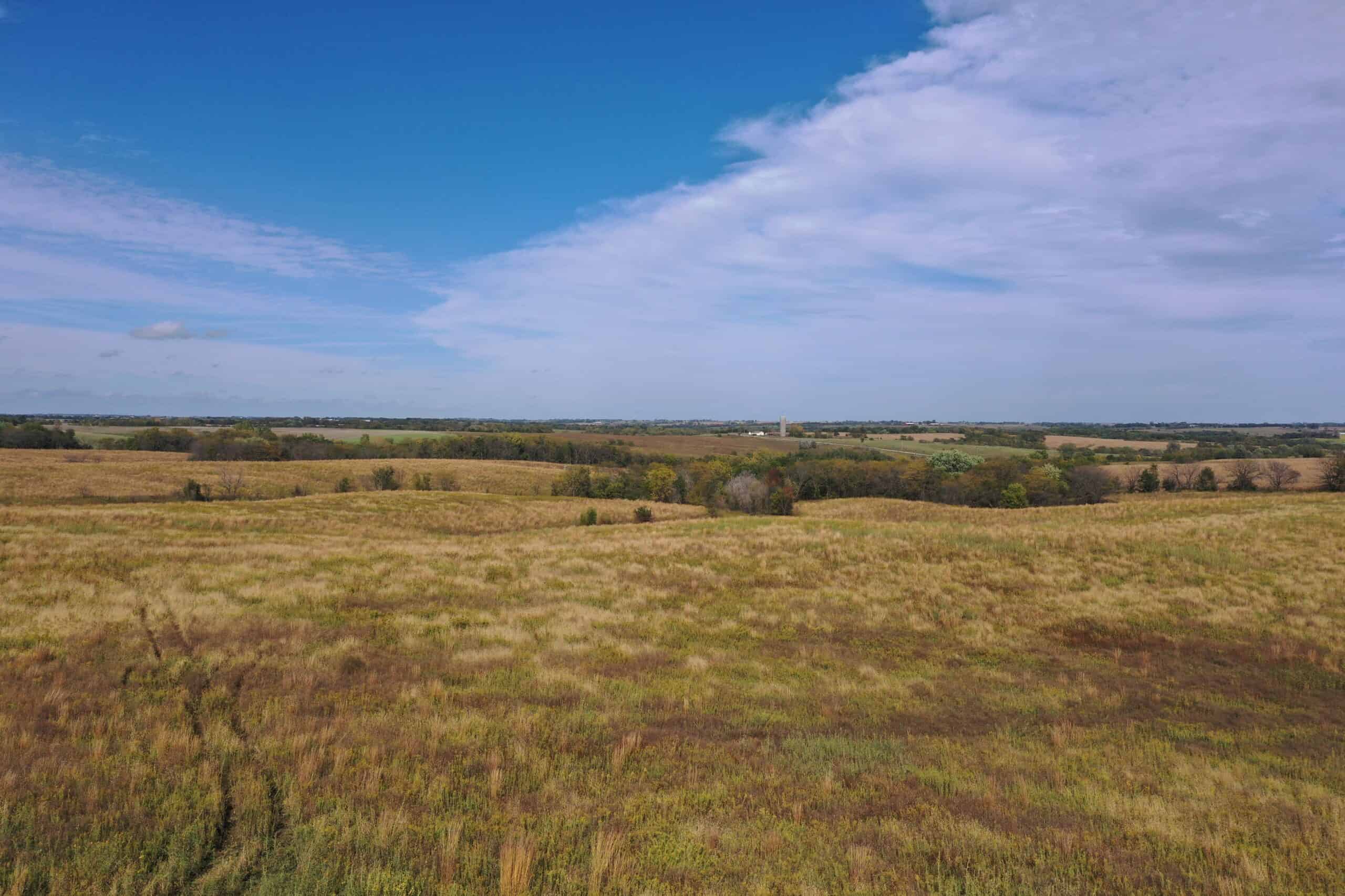 160 Acres m/l Iowa CRP/Hunting Farm