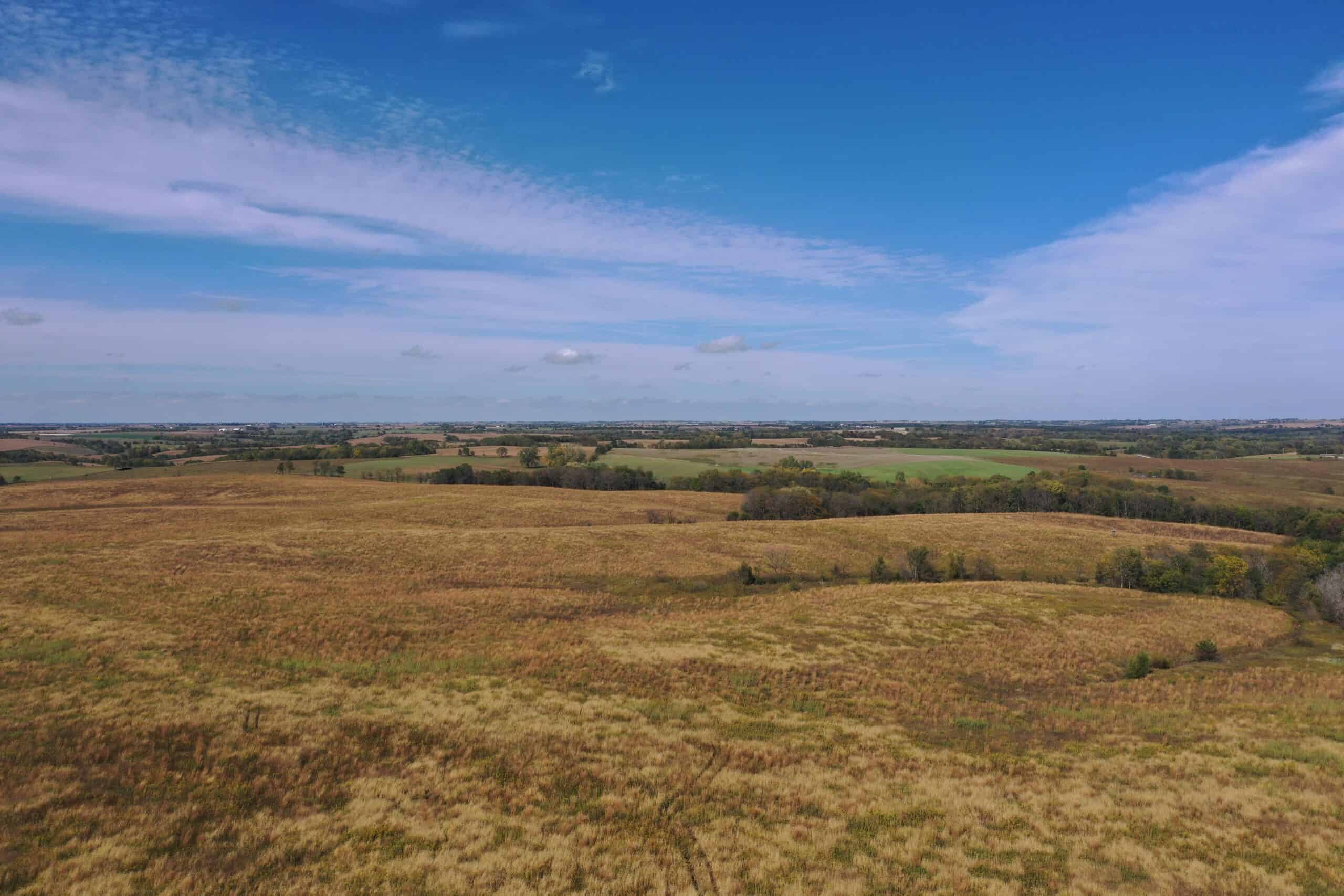 160 Acres m/l Iowa CRP/Hunting Farm