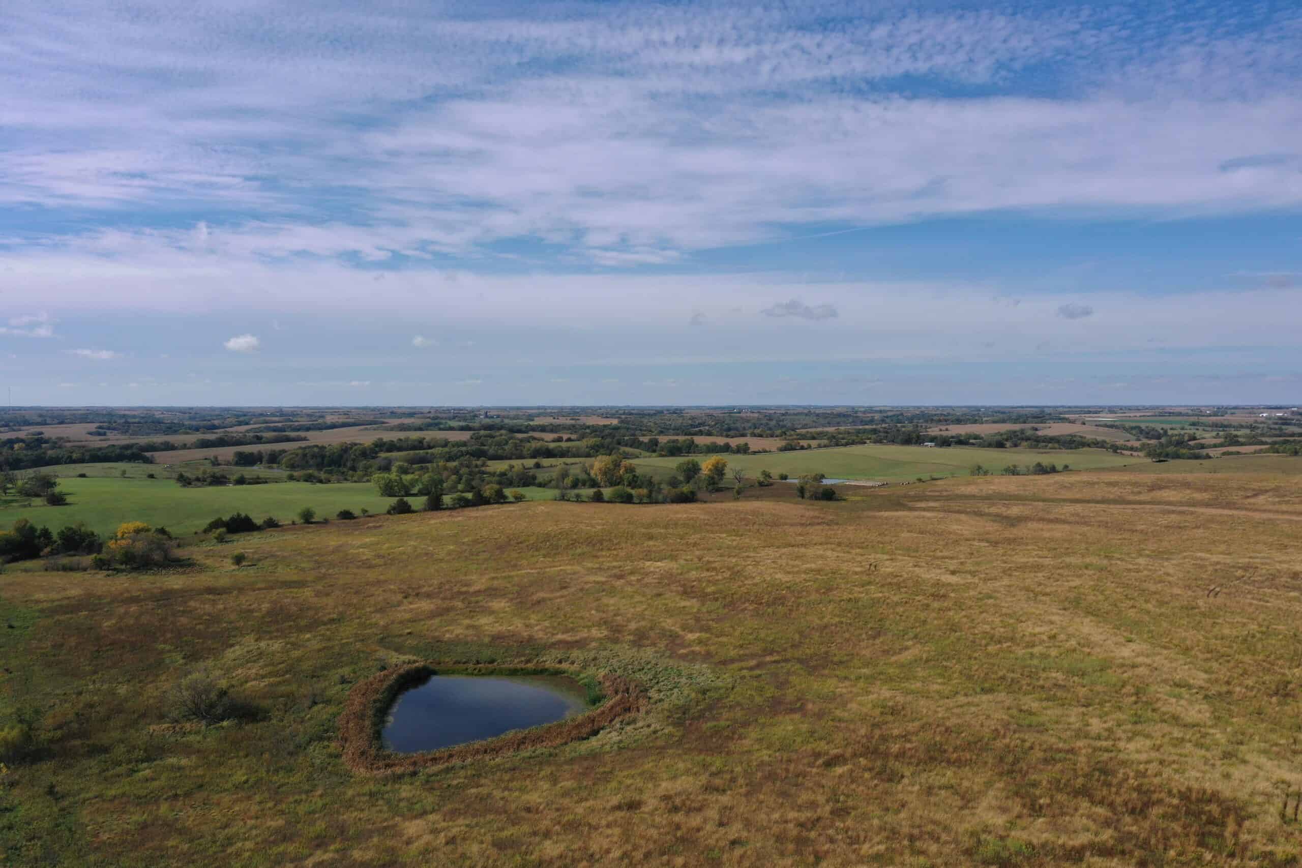 160 Acres m/l Iowa CRP/Hunting Farm